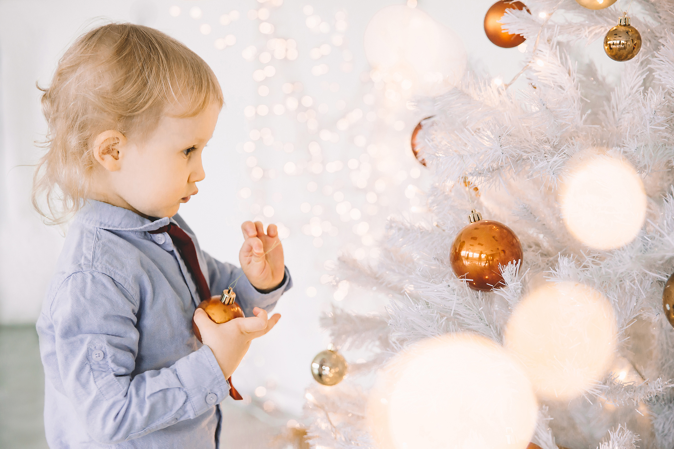 Joulukorttikuvaus 2018, Helsinki