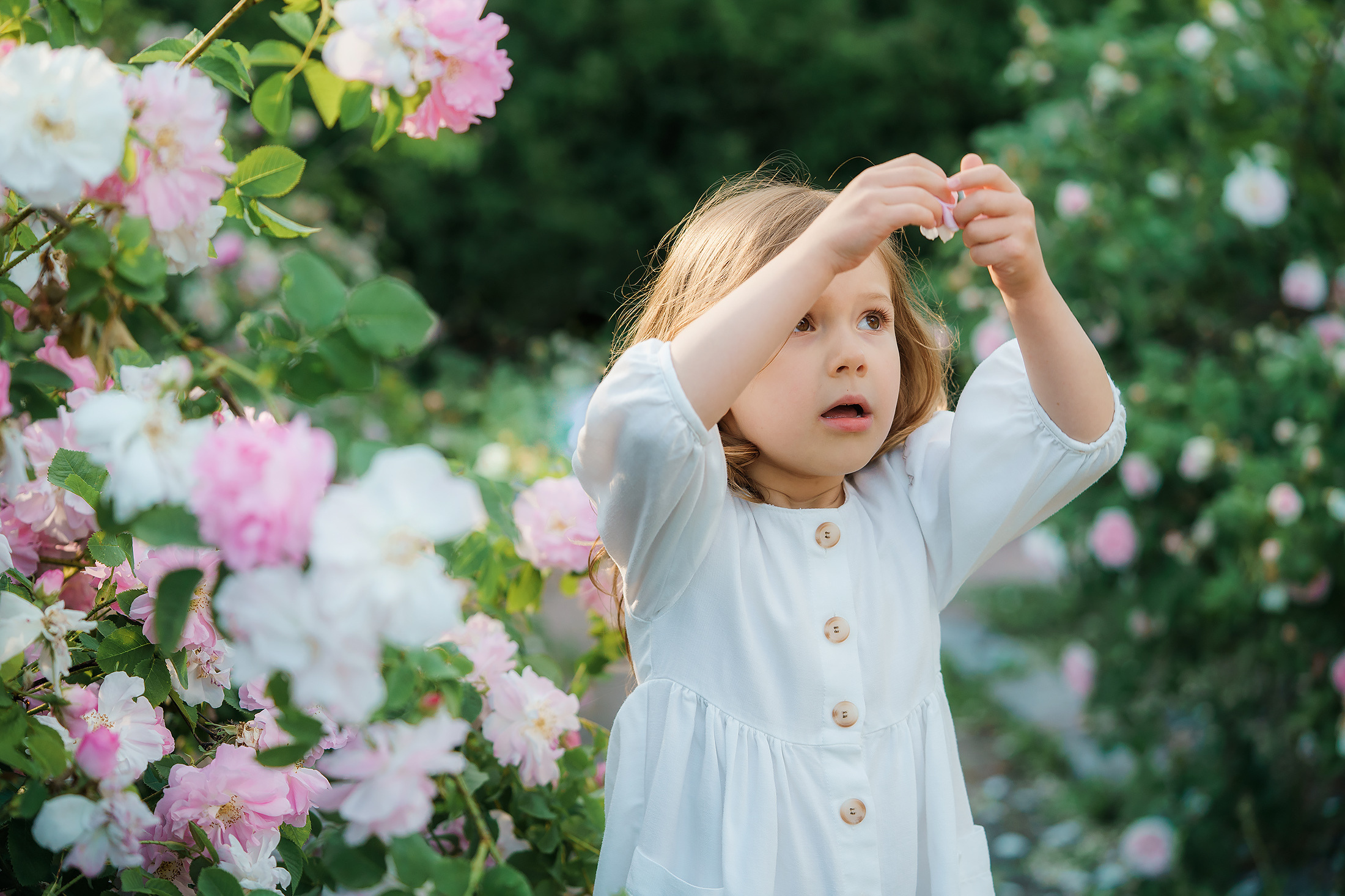Lapsikuvaus Helsingissä, ruusutarhassa