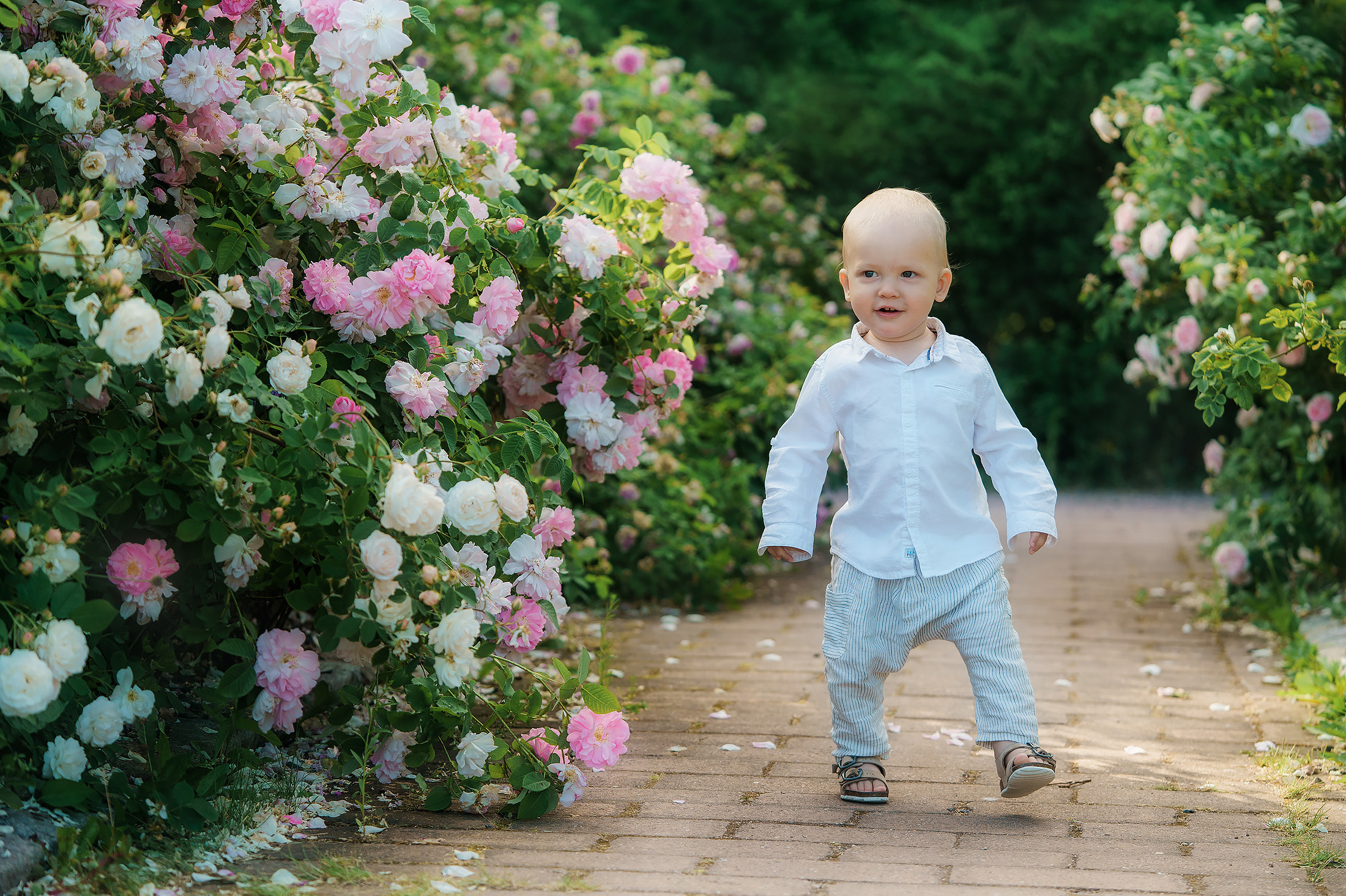 Lapsikuvaus Helsingissä, ruusutarhassa