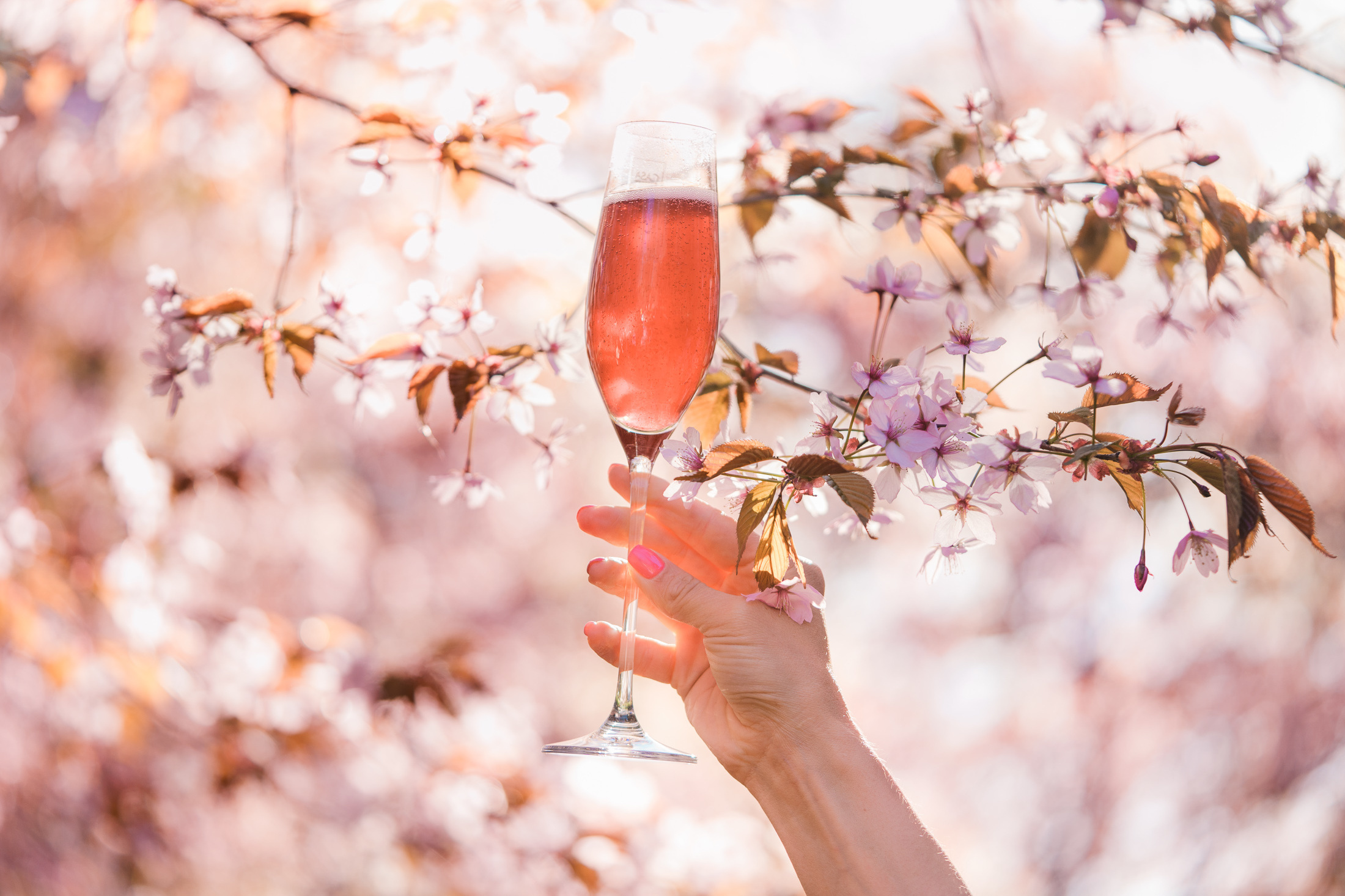 Anni, yo-kuvaus Helsingin kirsikkapuistossa