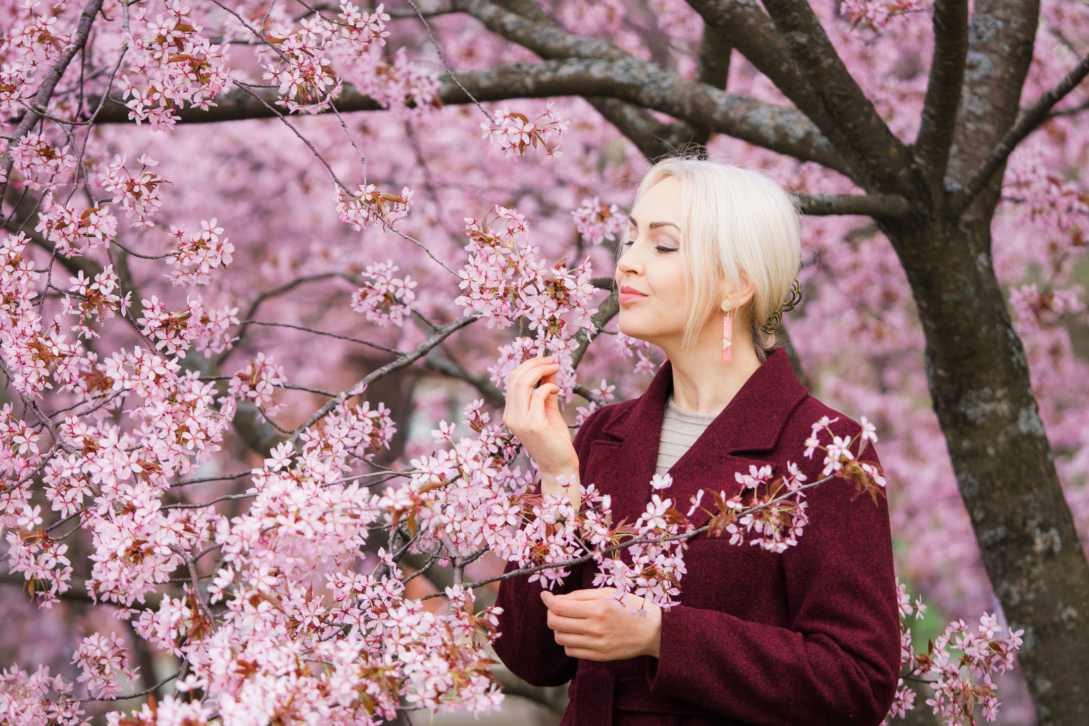 Muotokuvaus kirsikkapuistossa