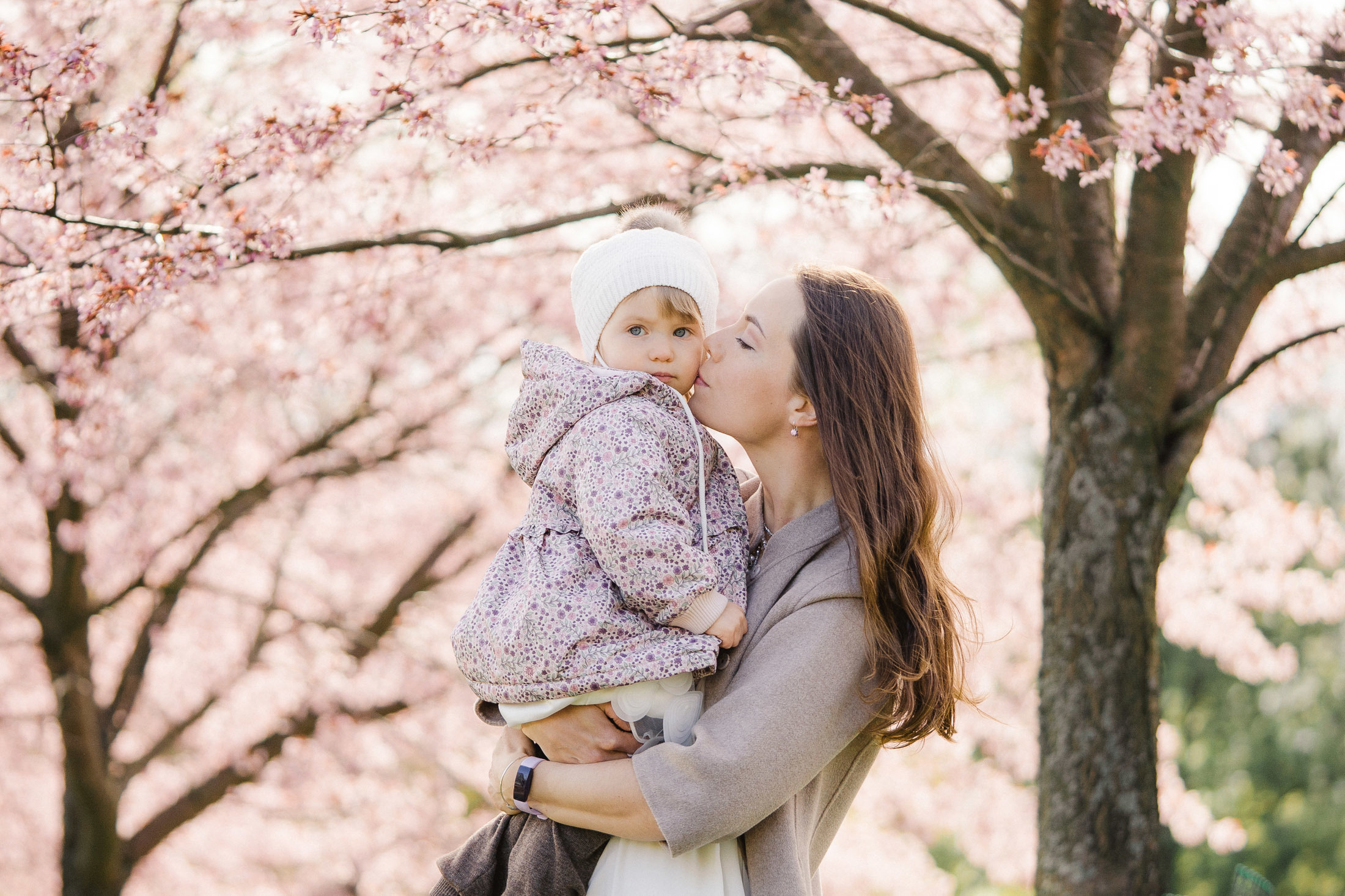 Perhekuvaus Helsingin kirsikkapuistossa