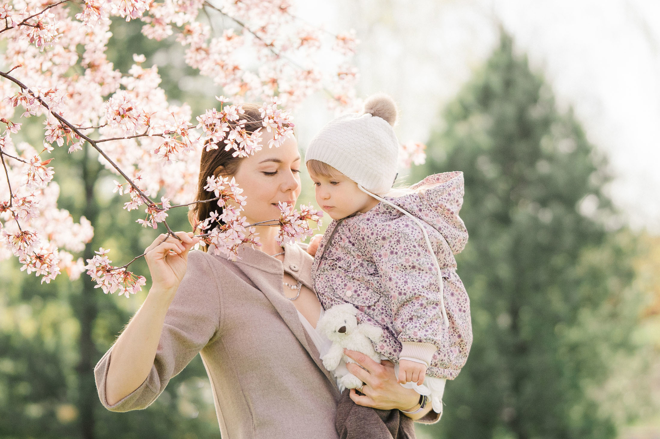 Perhekuvaus Helsingin kirsikkapuistossa