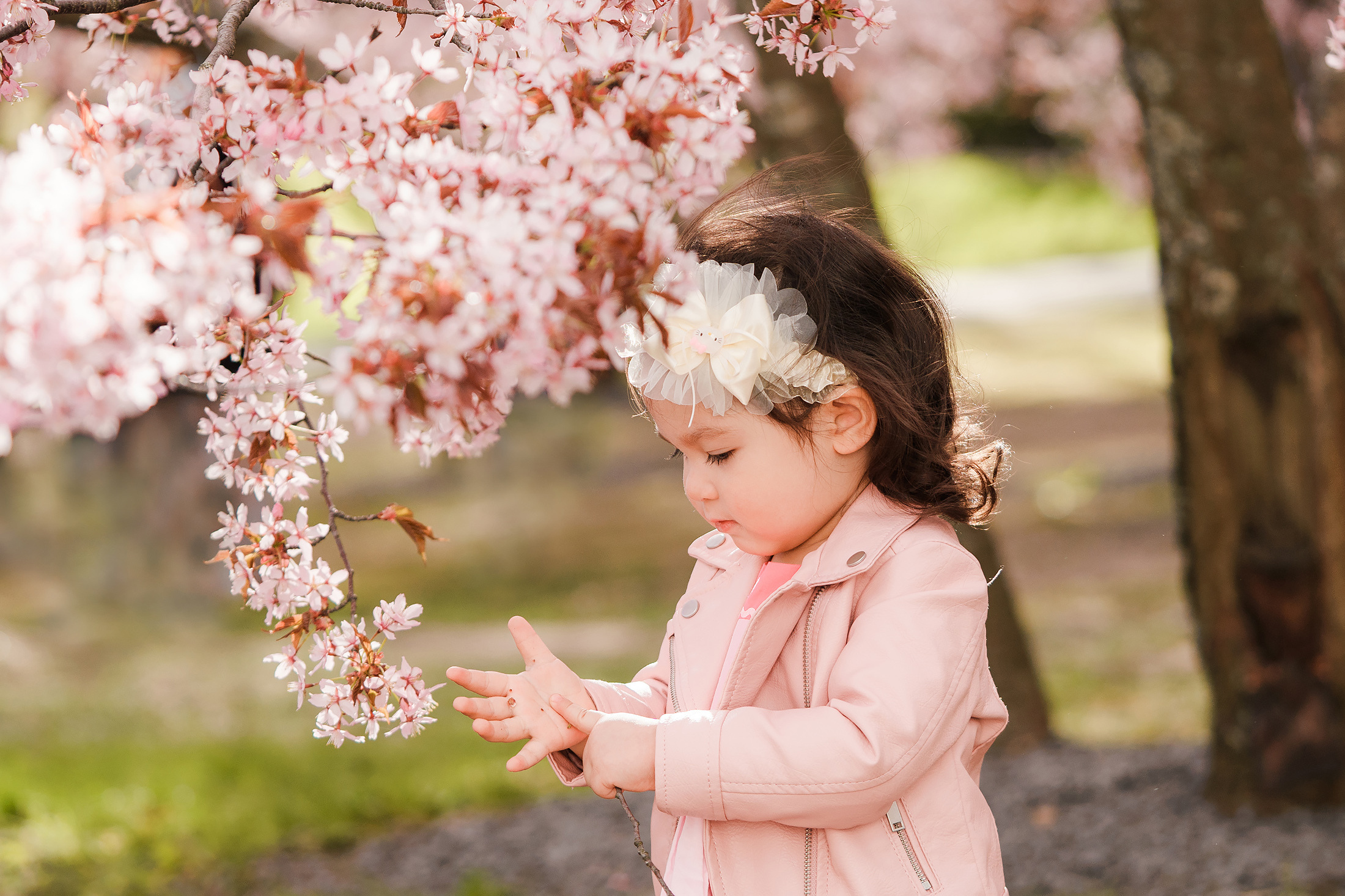 Lapsikuvaus Kirsikkapuistossa