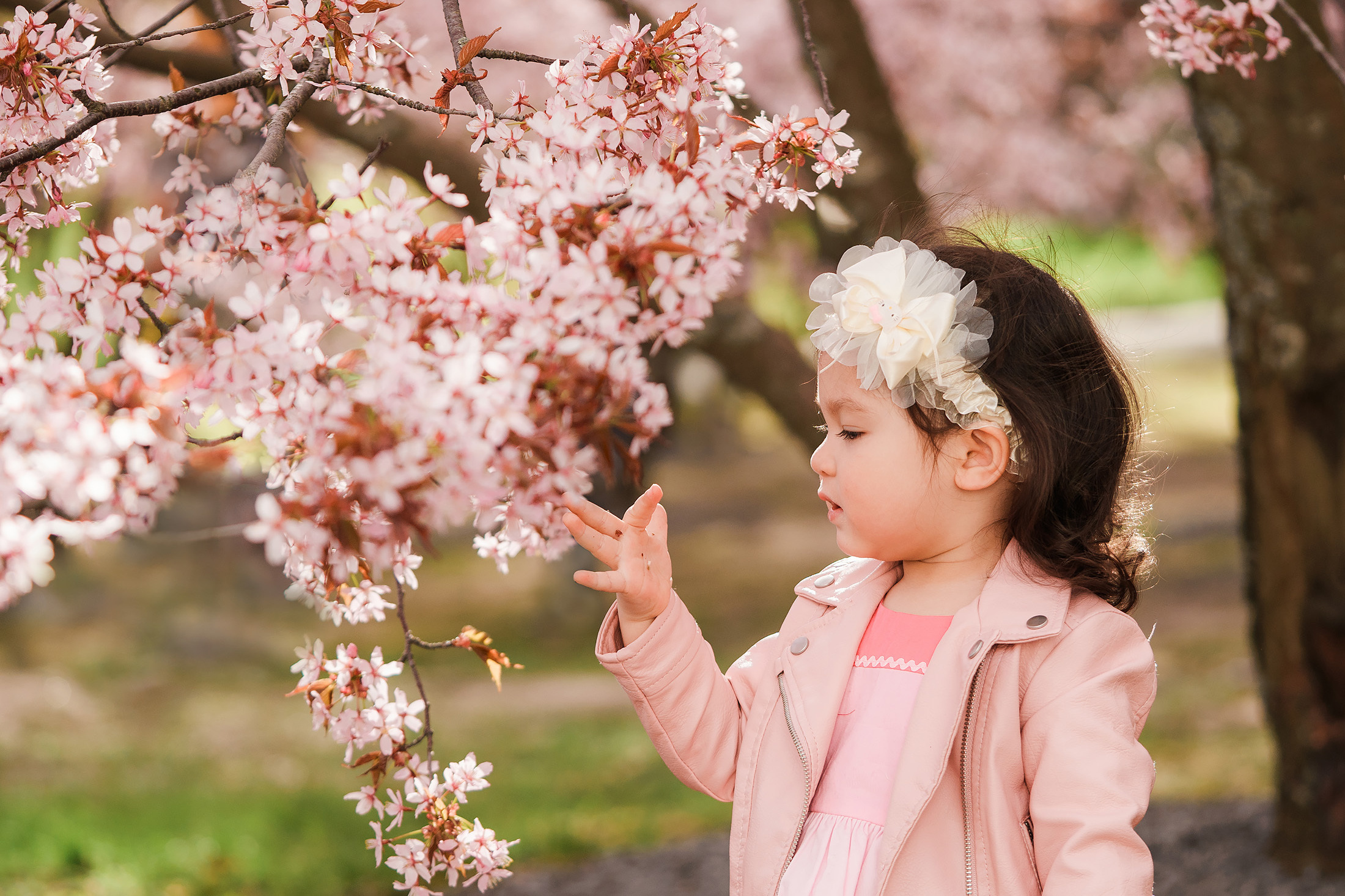 Lapsikuvaus Kirsikkapuistossa