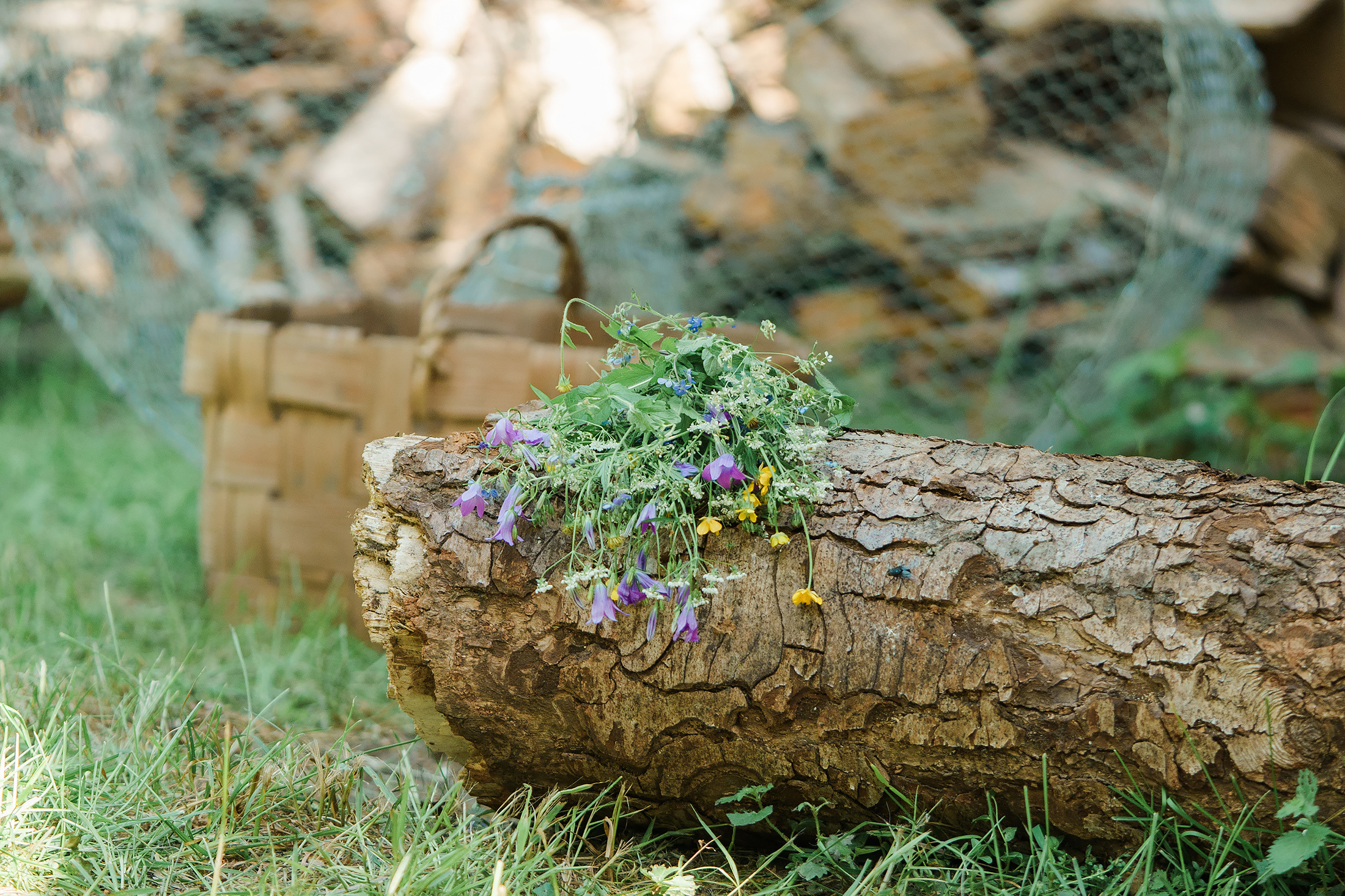 Midsummer photosession
