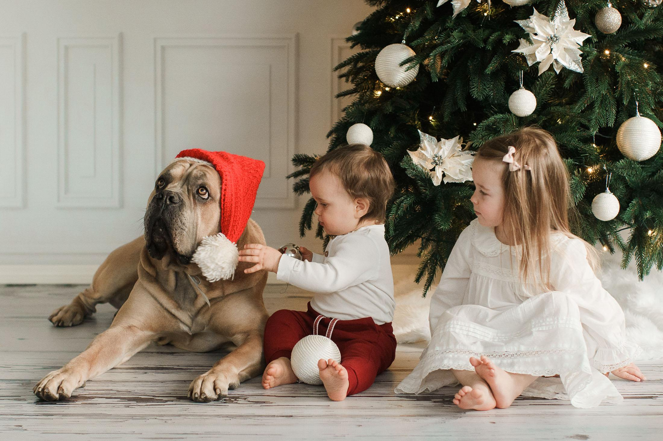 Joulukorttikuvaus 2022