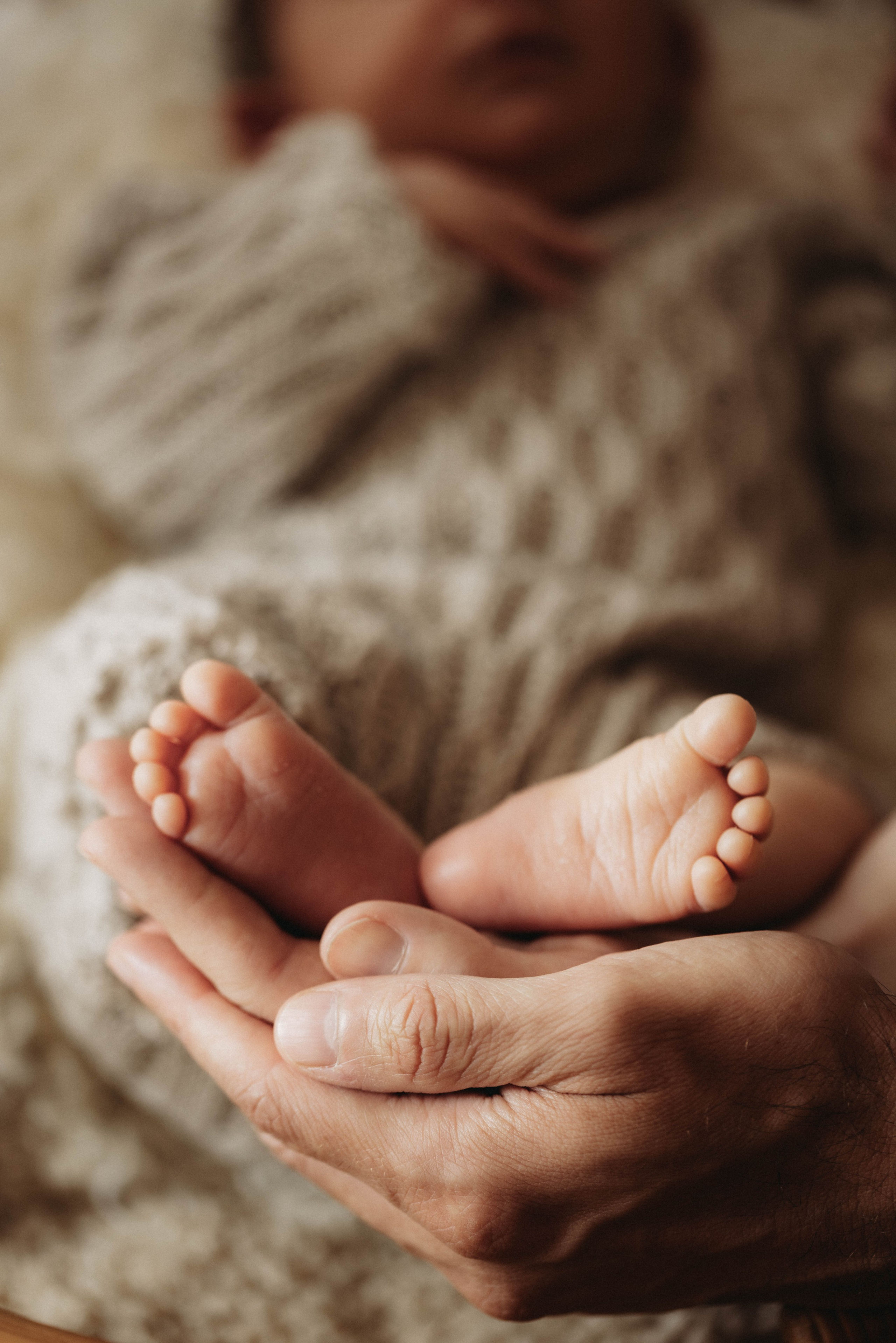 Viktorija Gibert Fotografie