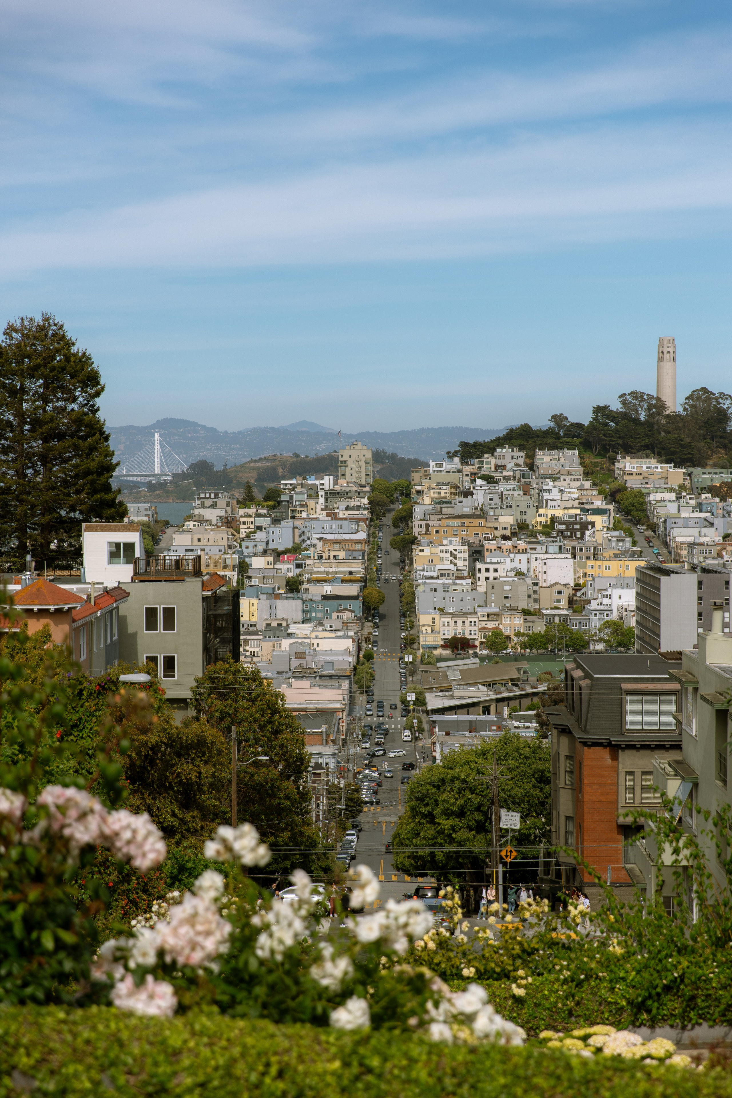 San Francisco Aesthetic: Free Phone Wallpapers. Photographer in Los Angeles. Julia Ishmuratova