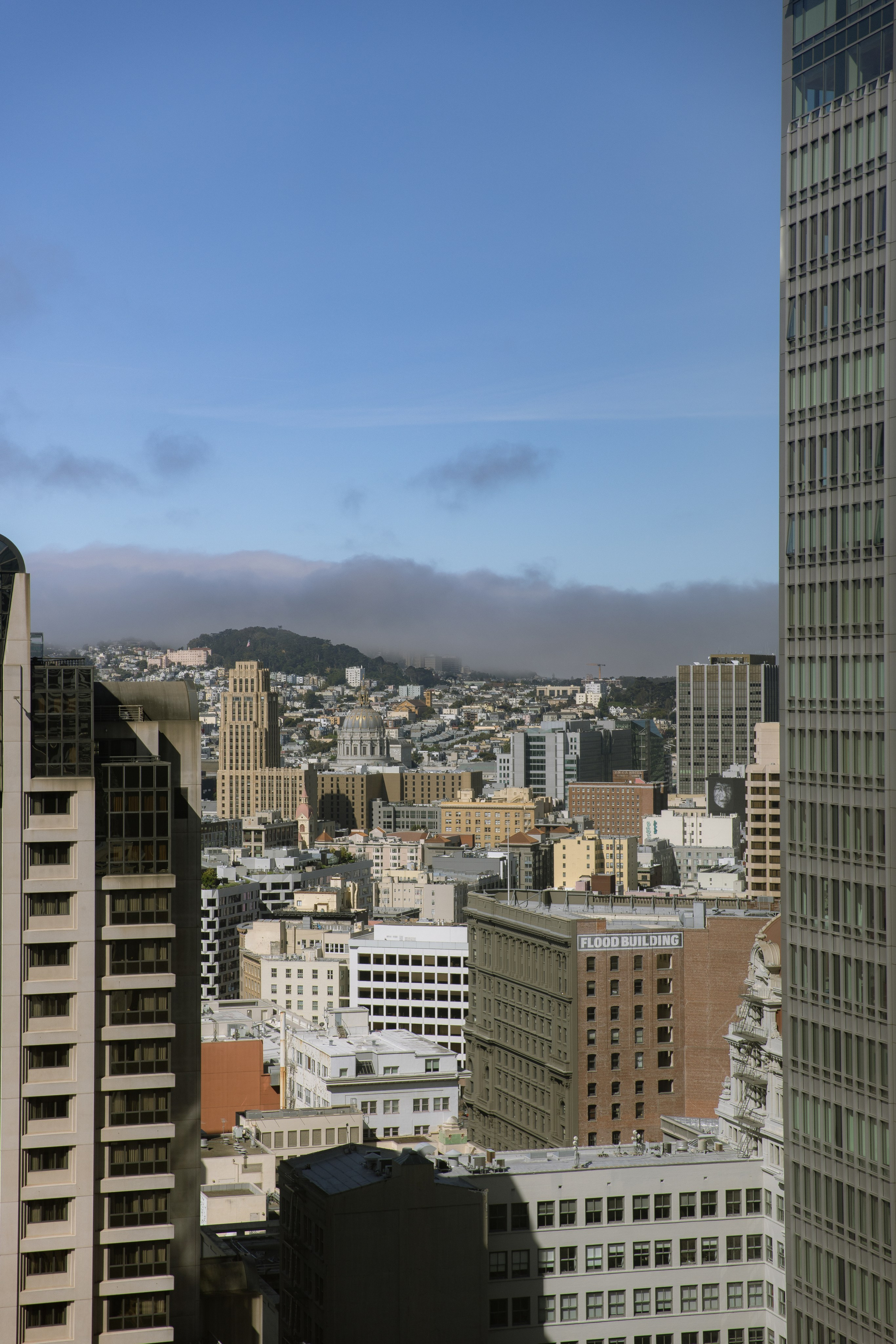 San Francisco Aesthetic: Free Phone Wallpapers. Photographer in Los Angeles. Julia Ishmuratova