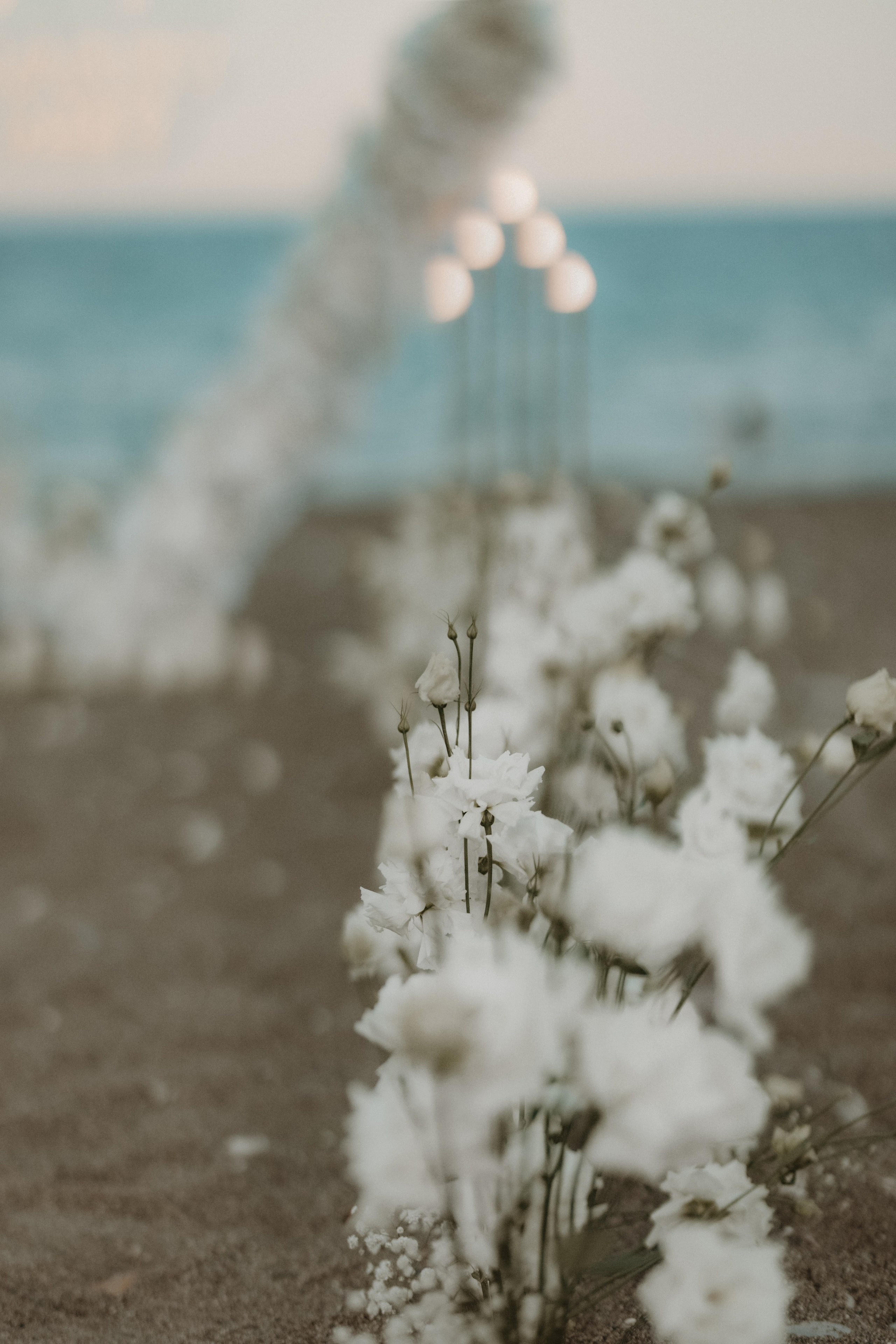 Предложения руки и сердца в Анталии. Предложения руки и сердца в Алании. Предложения руки и сердца в Белеке. Предложения руки и сердца в Турции. Предложения руки и сердца в Кемере. Где сделать предложение руки и сердца в Алании? Предложение руки и сердца на яхте в Турции . Фотограф в Анталии. предложение руки и сердца в анталии. сделать предложение в турции кемер. предложение руки и сердца анталия.