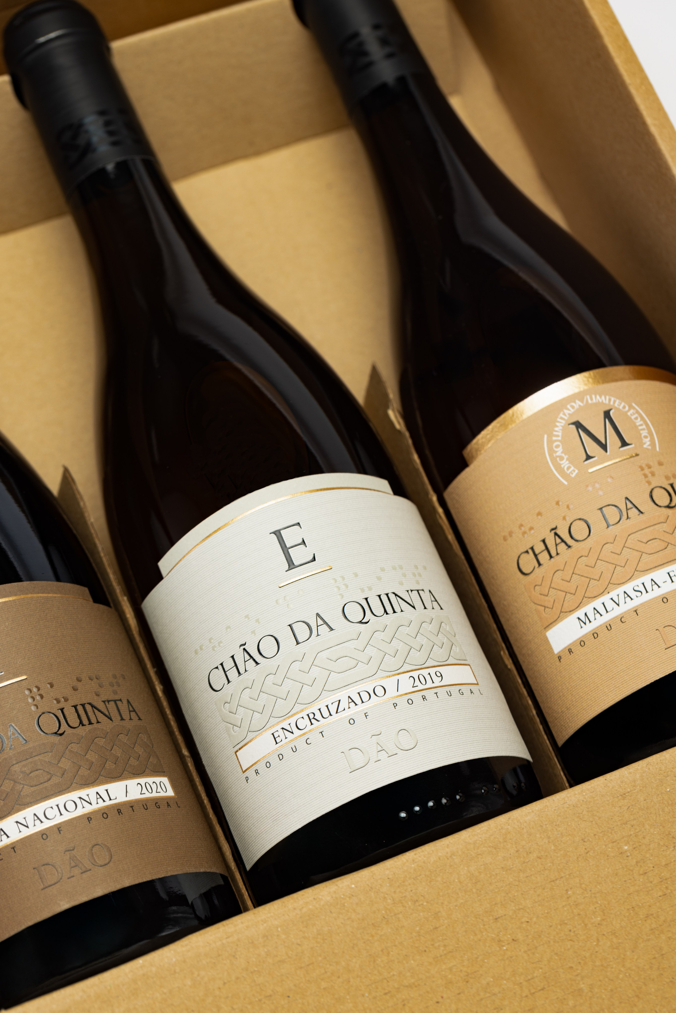 Produtora. ESTUDIO DOZE