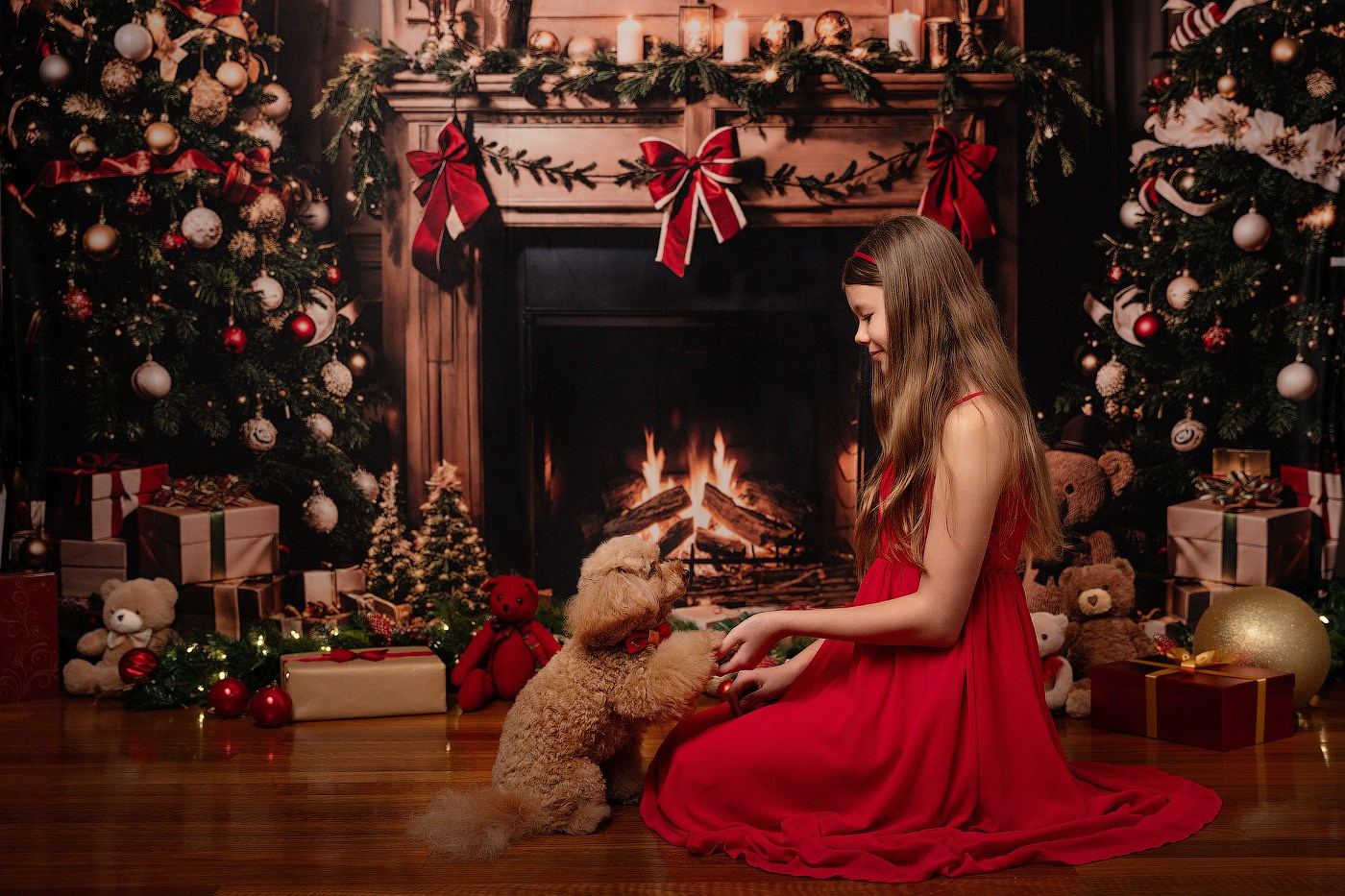 Christmas mini sessions 2024, Sydney. Newborn and family photographer. Hills District. Sydney