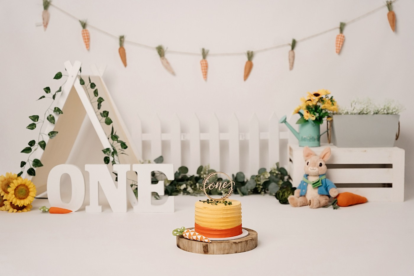 Cake Smash Themes. Newborn and family photographer. Hills District. Sydney