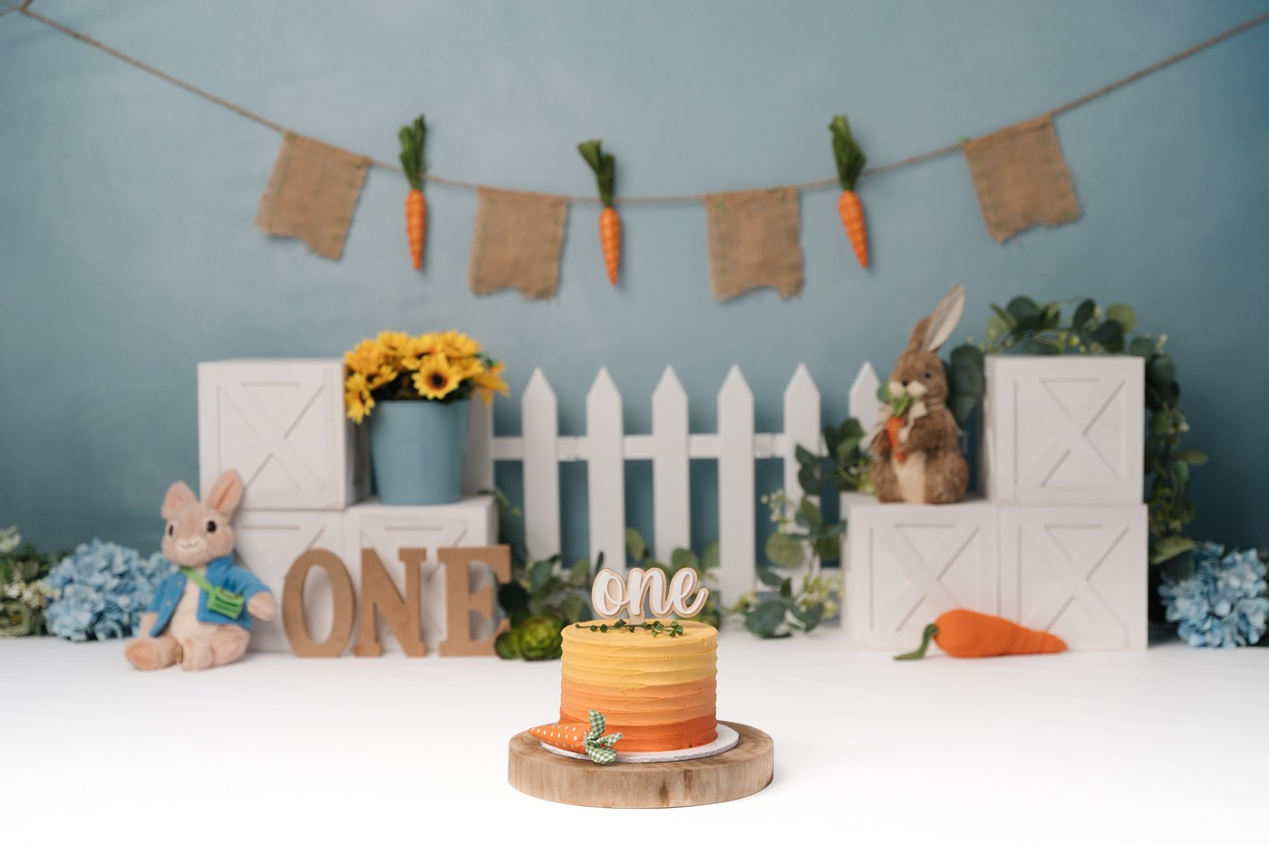 Cake Smash Themes. Newborn and family photographer. Hills District. Sydney