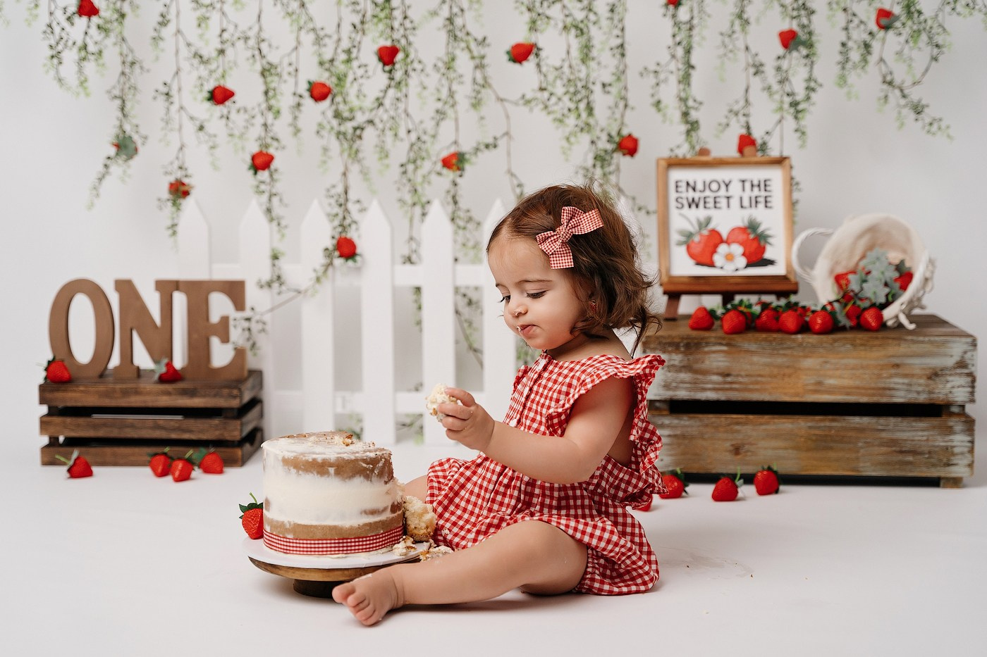 Cake Smash Themes. Newborn and family photographer. Hills District. Sydney