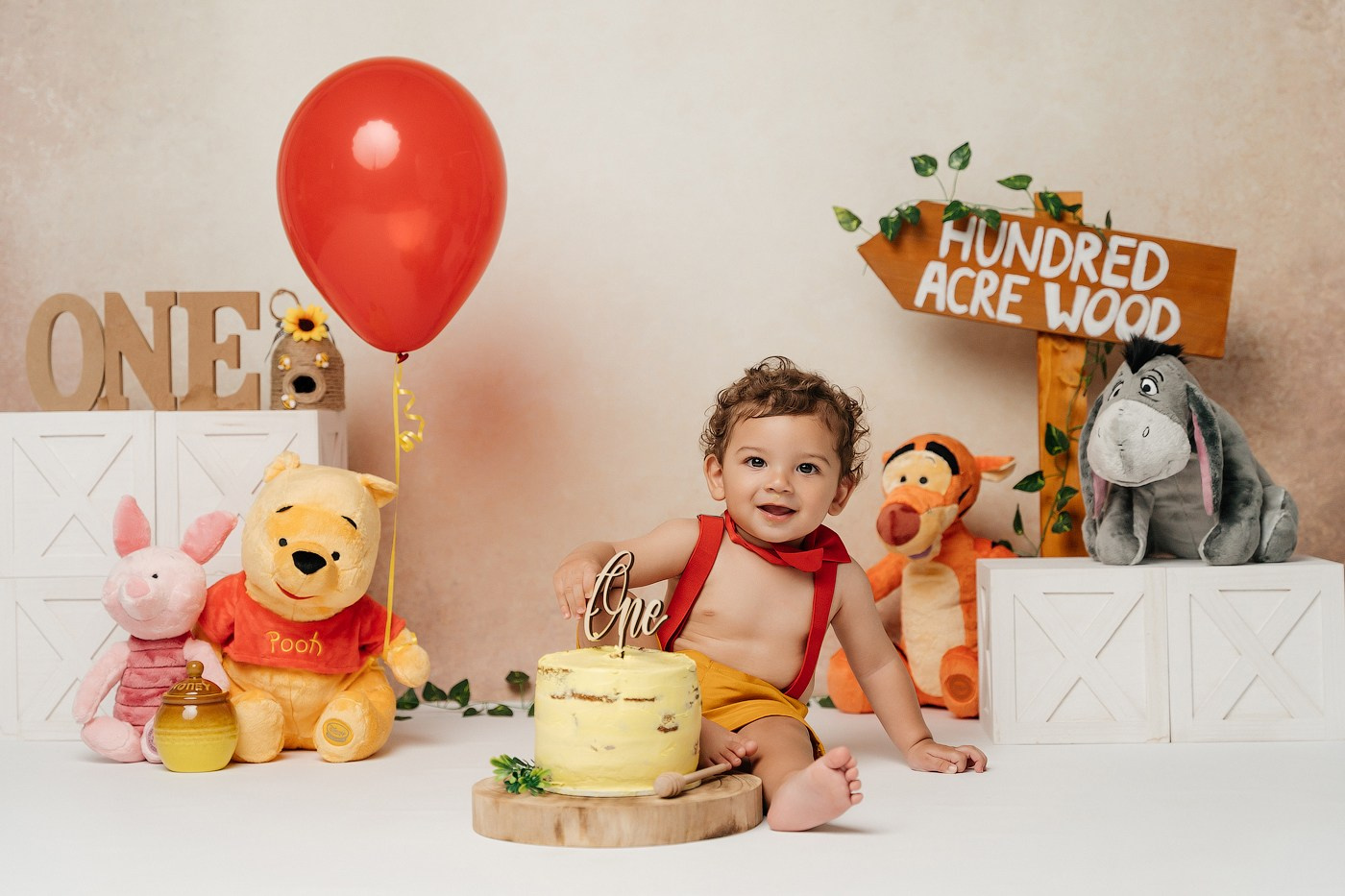 Cake Smash Themes. Newborn and family photographer. Hills District. Sydney