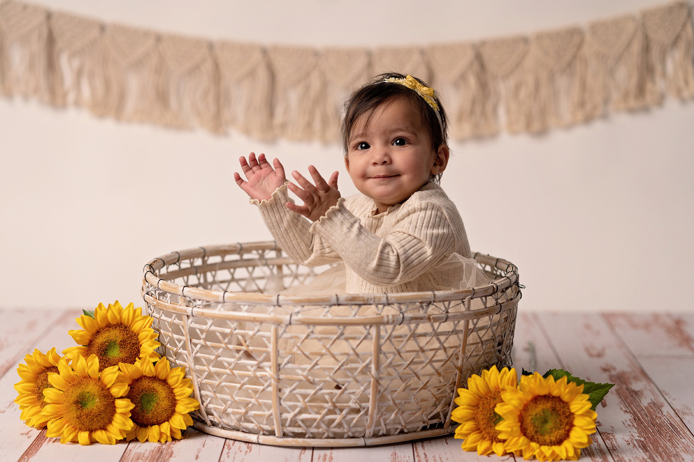 Cake Smash Themes. Newborn and family photographer. Hills District. Sydney