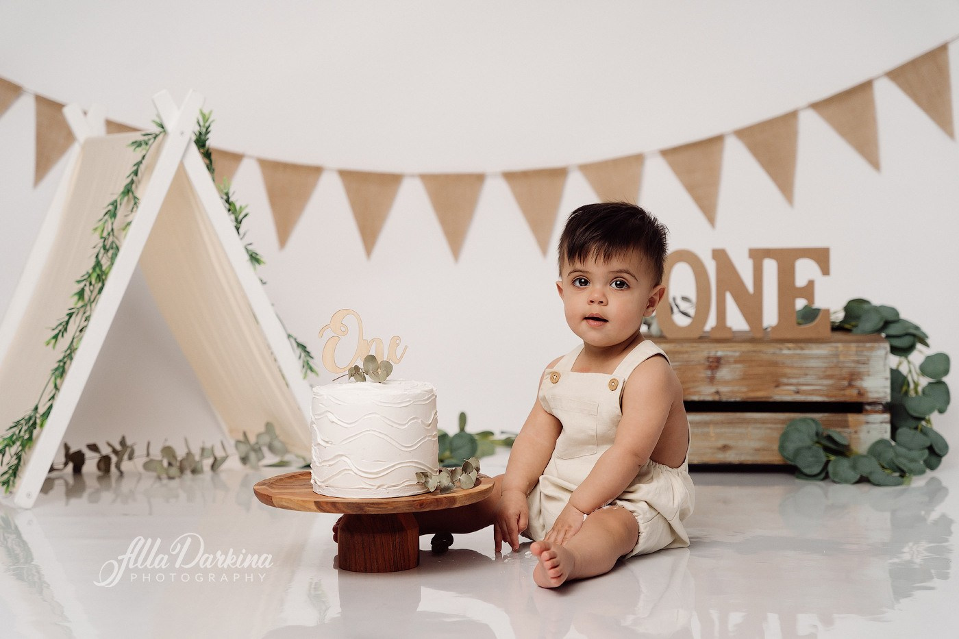 Cake Smash Themes. Newborn and family photographer. Hills District. Sydney