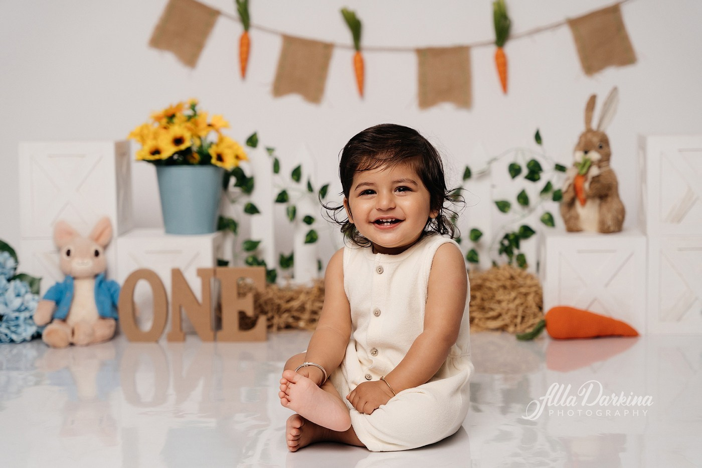 Cake Smash Themes. Newborn and family photographer. Hills District. Sydney