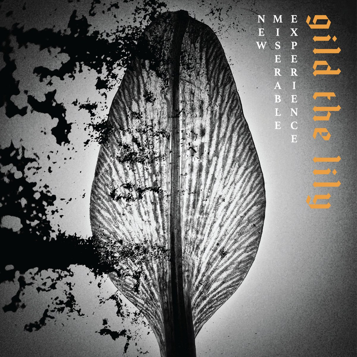 Próximos lanzamientos discográficos más interesantes: 23 de enero de 2026 | FOTKAI