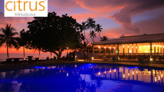 Фотограф на Шри Ланке, свадебный фотограф на Шри Ланке, семейный фотог. Фотограф на Шри Ланке