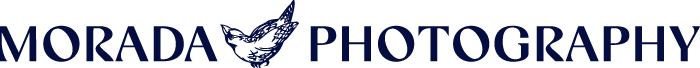 moradaphotography.com