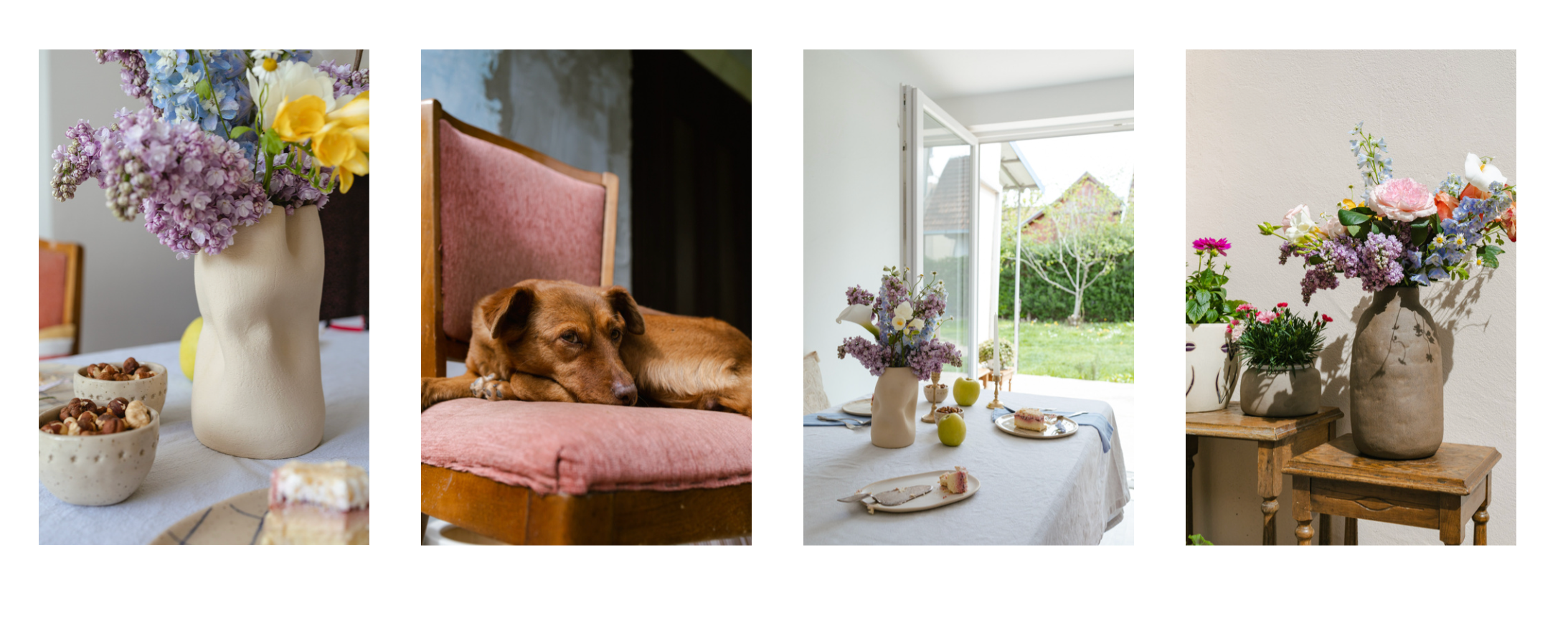 Контент и видео. Анастасия Еремина | Фотограф в Сербии | Персональные и бизнес-фотосессии в Белграде и Нови Саде