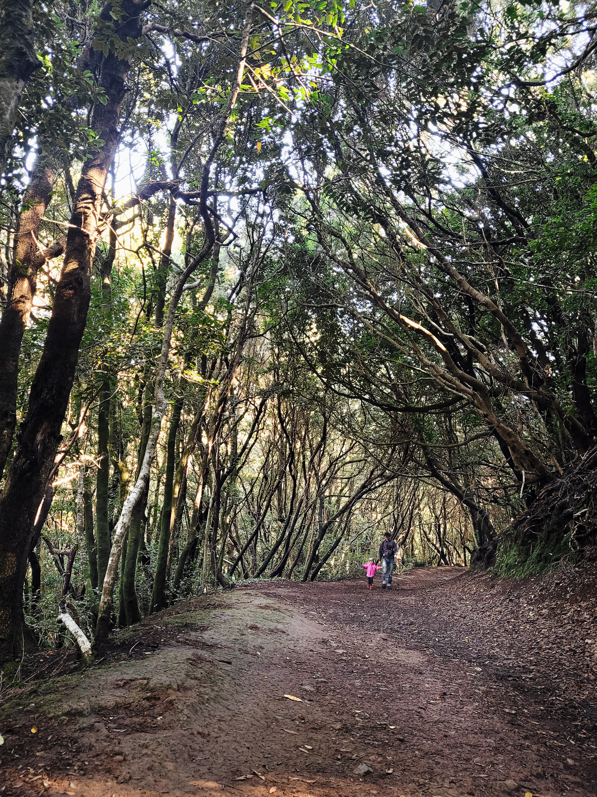 tenerife ceļojums ar bērniem