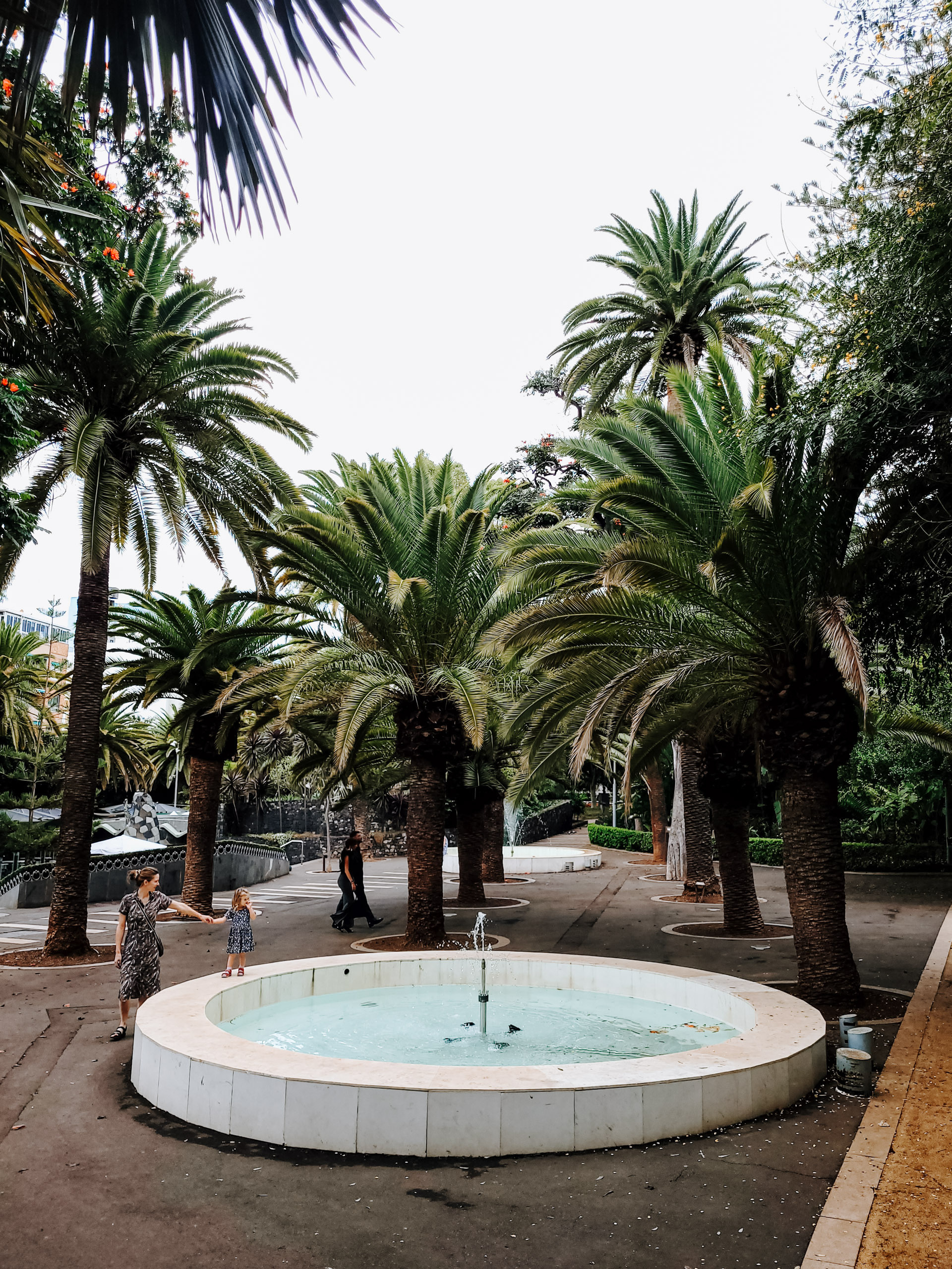 tenerife botāniskais dārzs