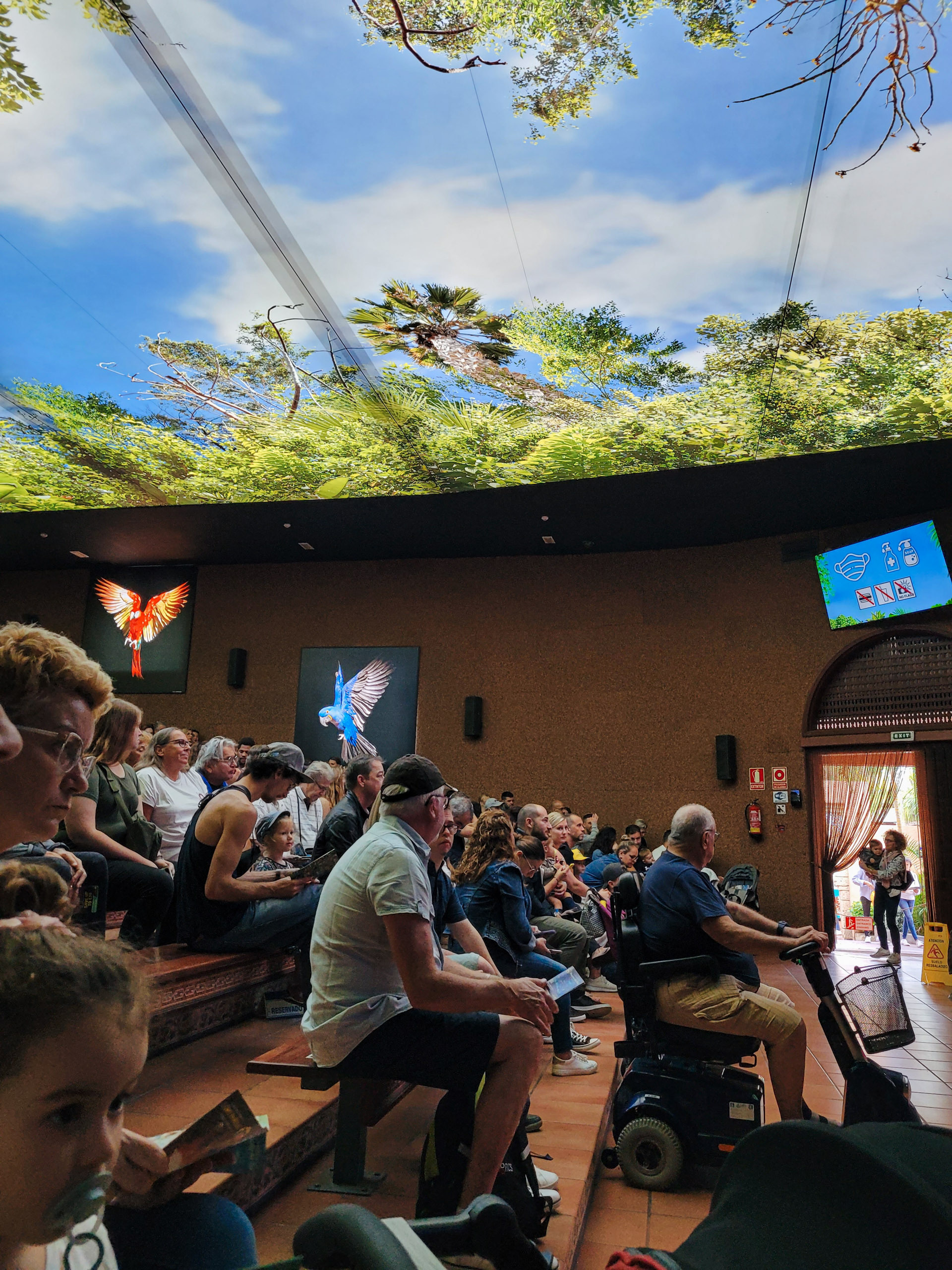 papagaiļu šovs loro parks