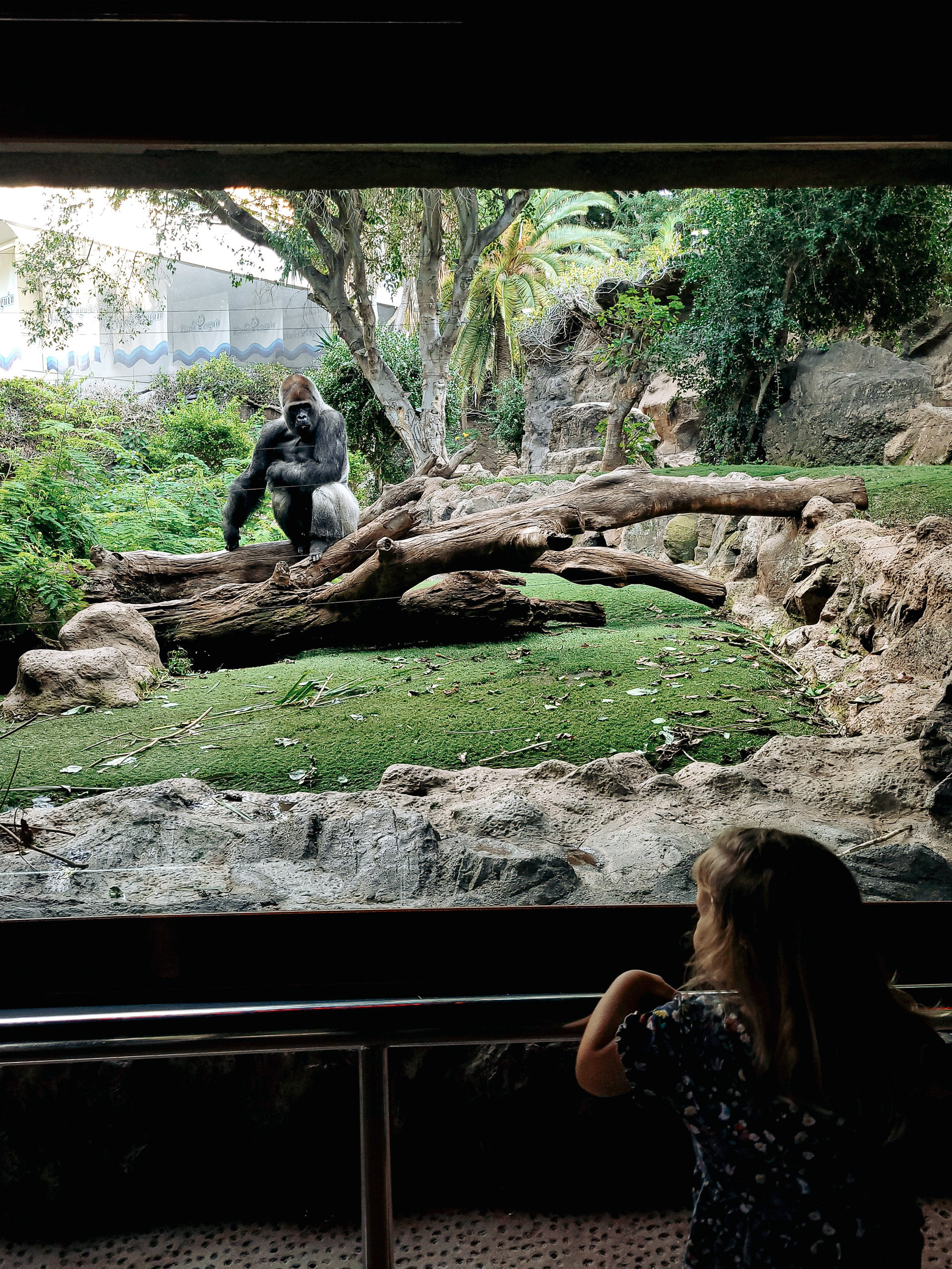 loro parka dzīvnieki