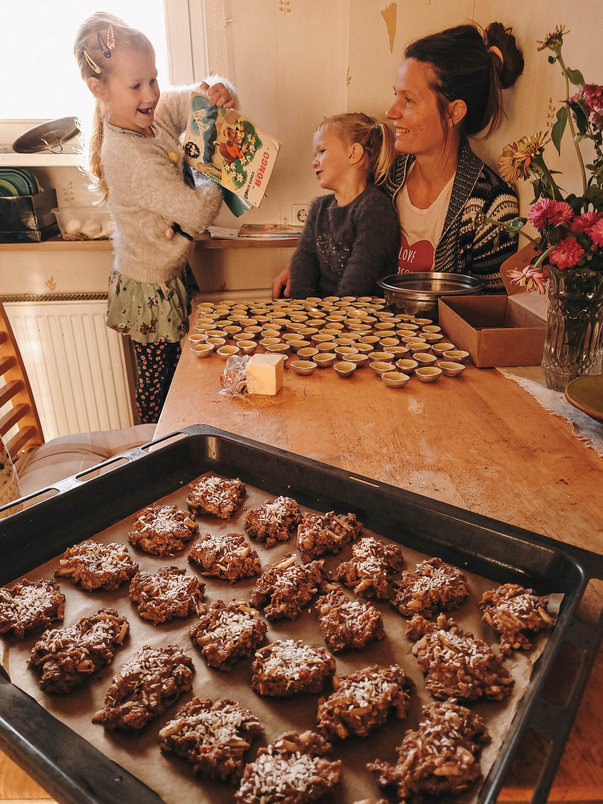 Auzu pārslu cepumi ar ābolu un ogām