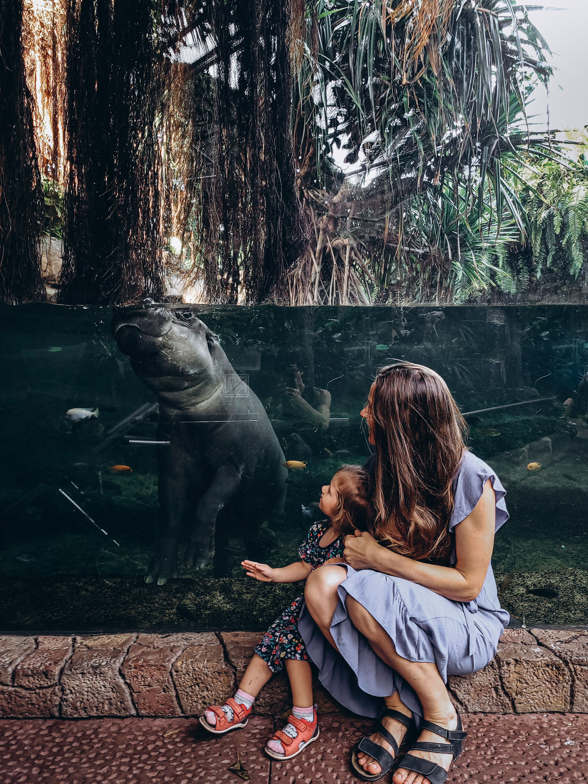 bērnu izklaide tenerife 