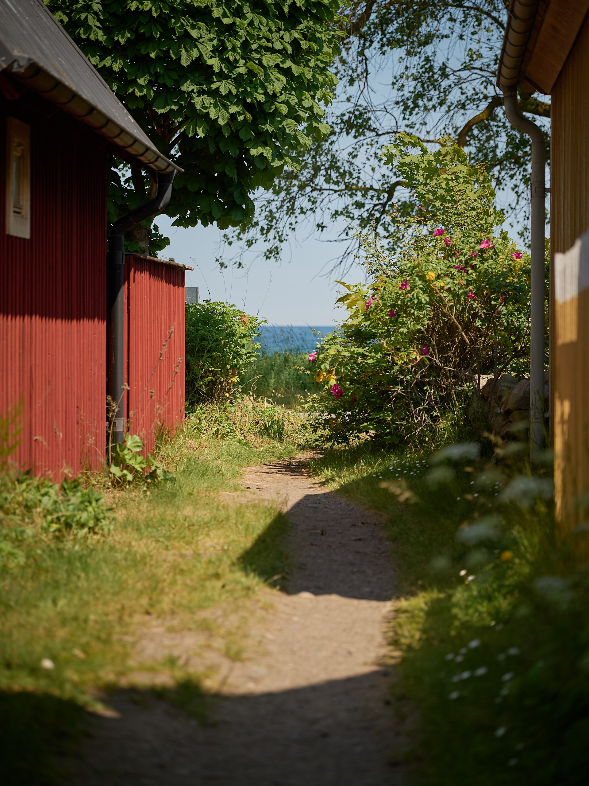 Österlen: Kivik and Simrishamn. Yuri Popkov | Photographer