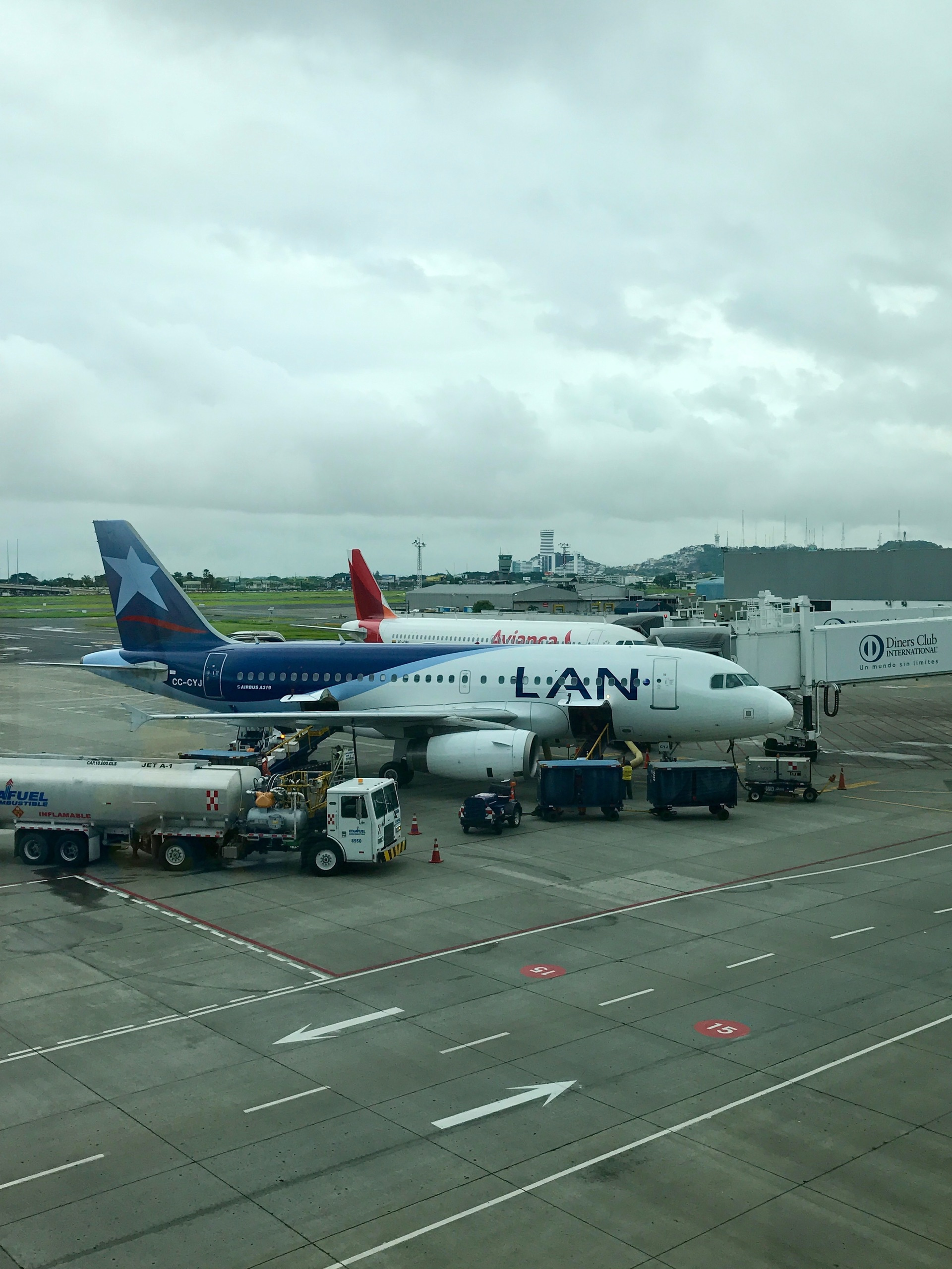 Galapagos. Milok et Kirok sont des gens positifs et réels. Nous serons ravis de v