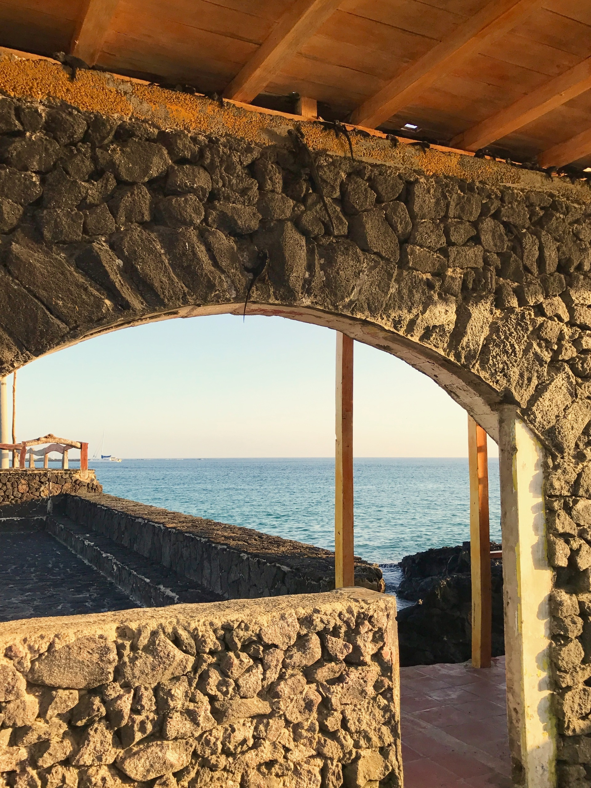 Galapagos. Milok et Kirok sont des gens positifs et réels. Nous serons ravis de v