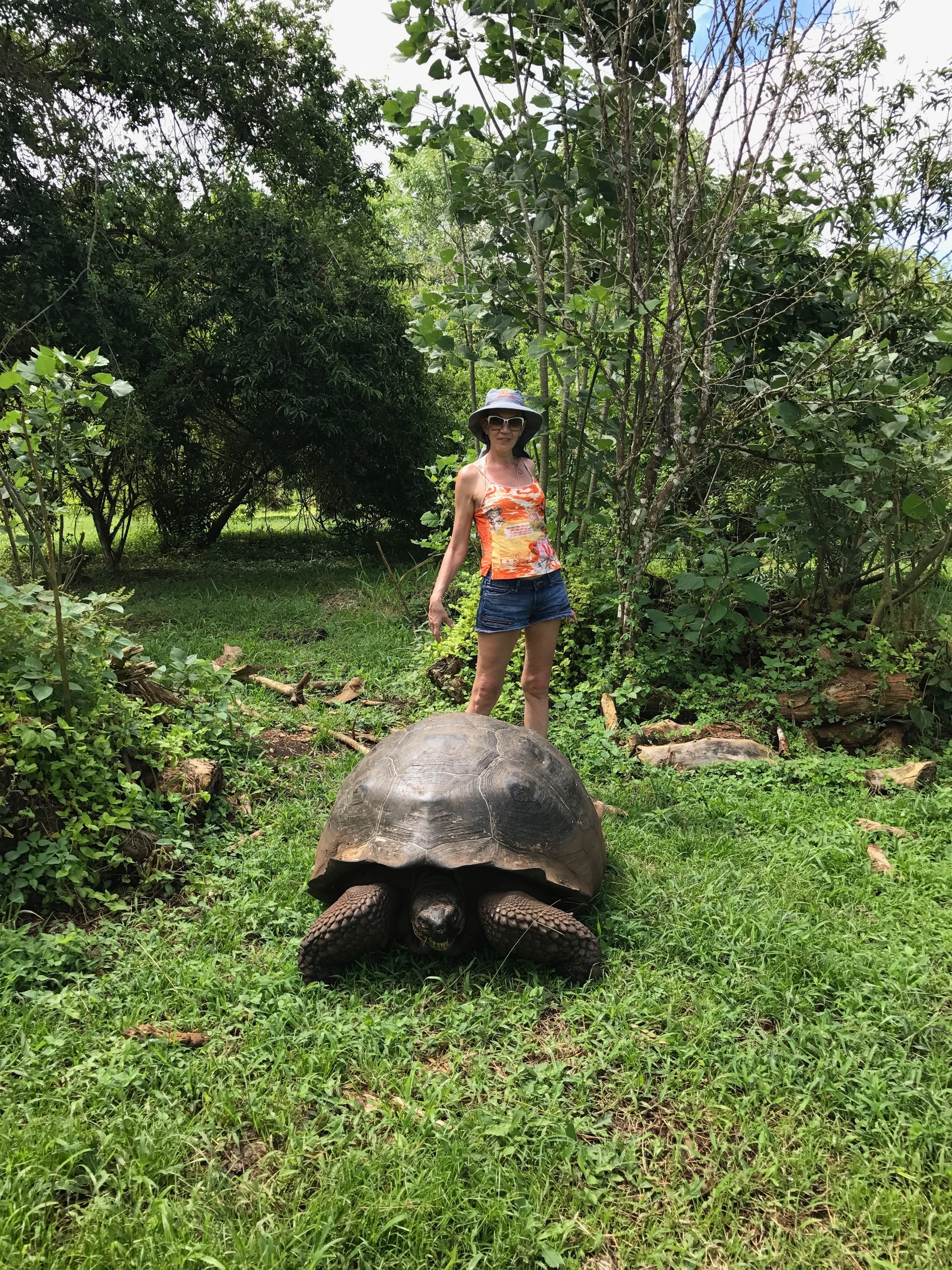 Galapagos. Milok et Kirok sont des gens positifs et réels. Nous serons ravis de v