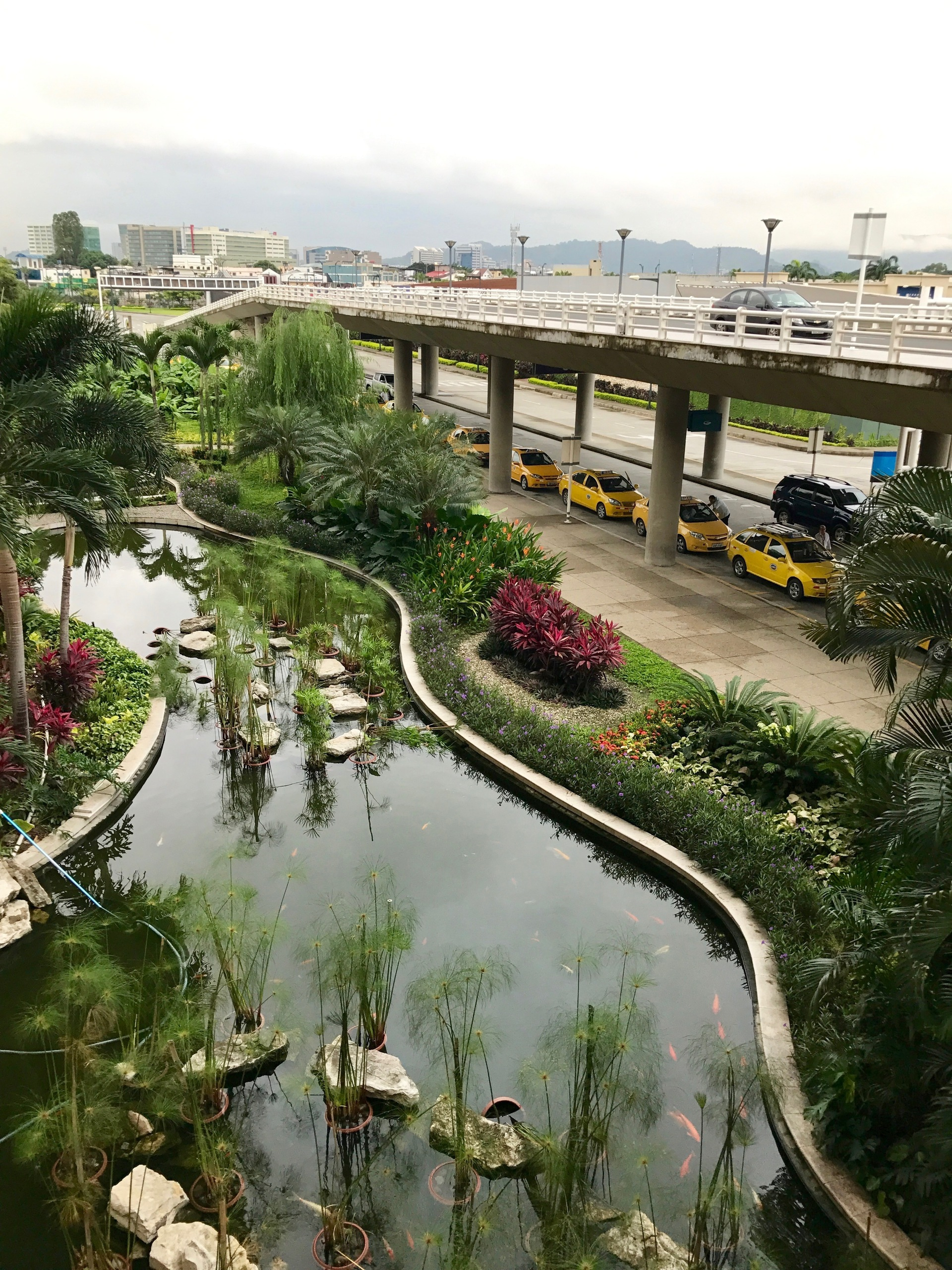 Galapagos. Milok et Kirok sont des gens positifs et réels. Nous serons ravis de v