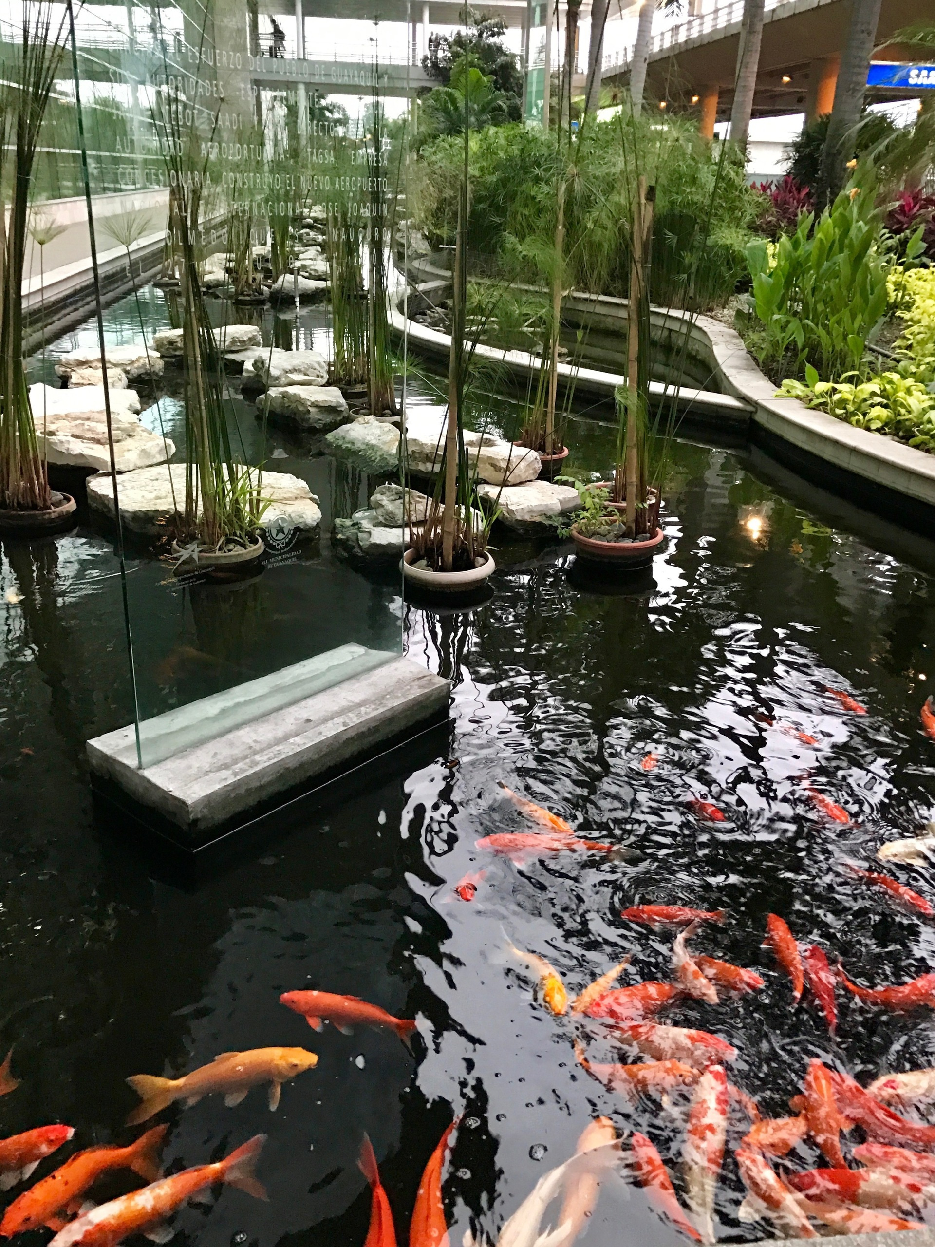 Galapagos. Milok et Kirok sont des gens positifs et réels. Nous serons ravis de v