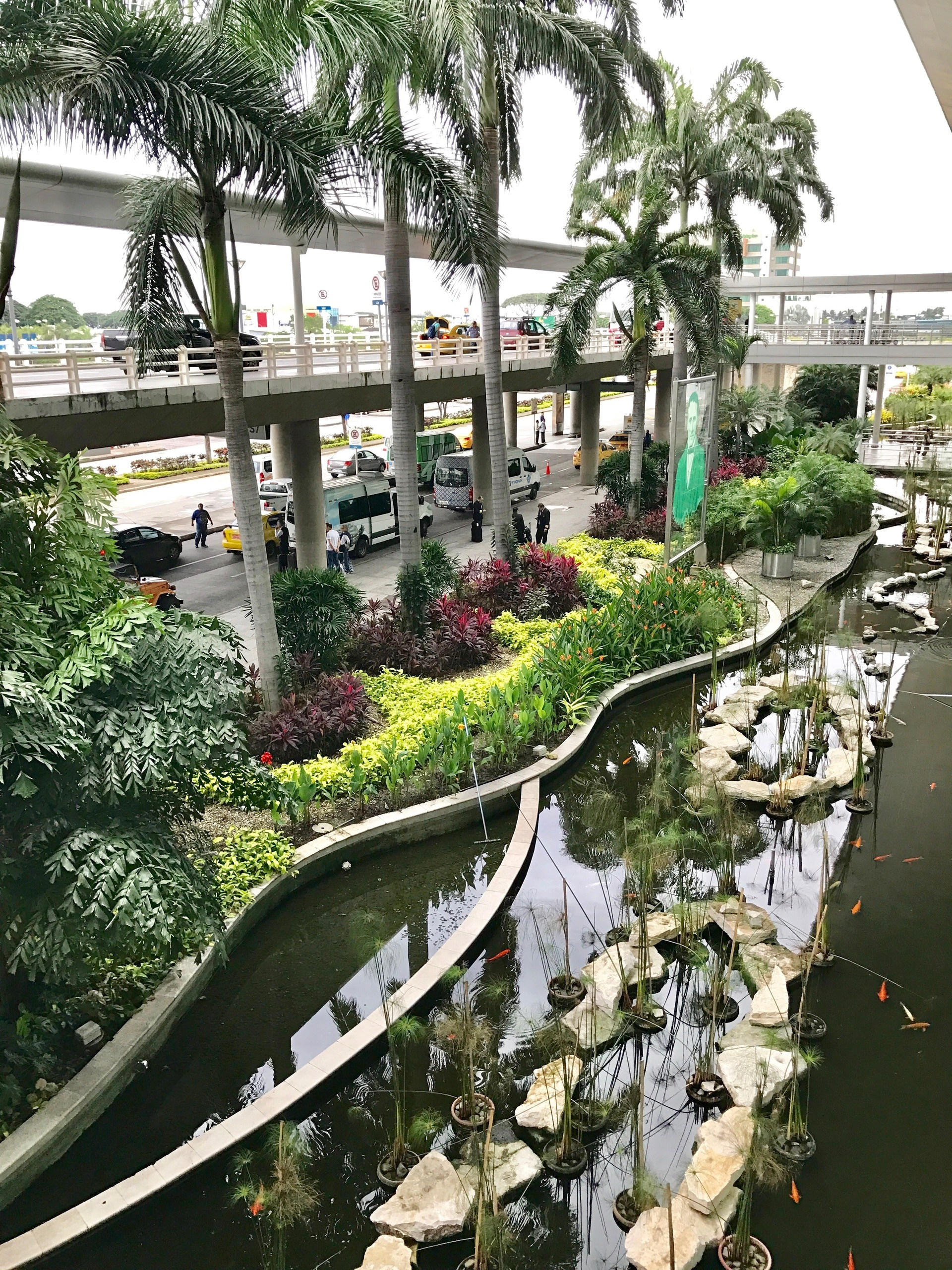 Galapagos. Milok et Kirok sont des gens positifs et réels. Nous serons ravis de v