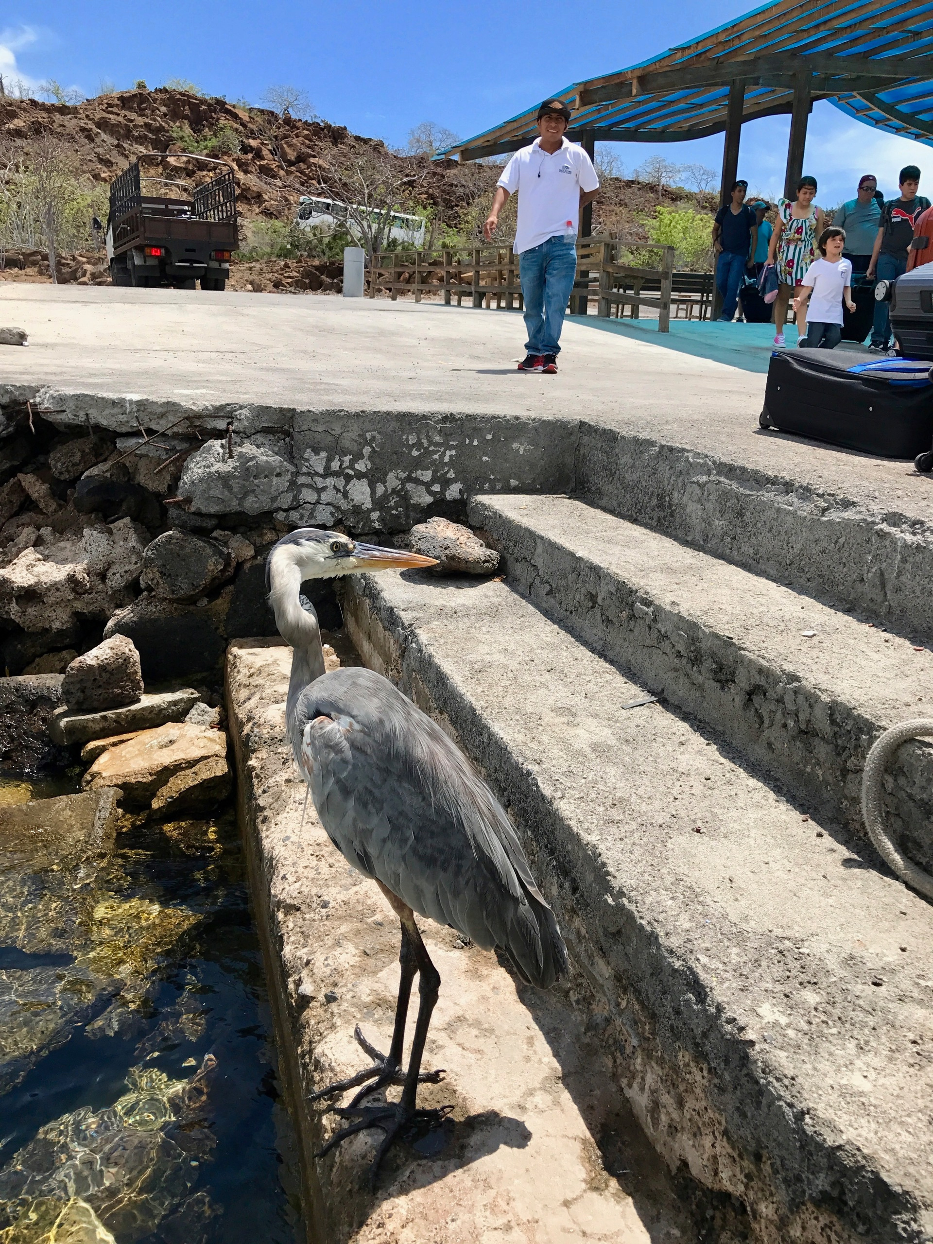 Galapagos. Milok et Kirok sont des gens positifs et réels. Nous serons ravis de v