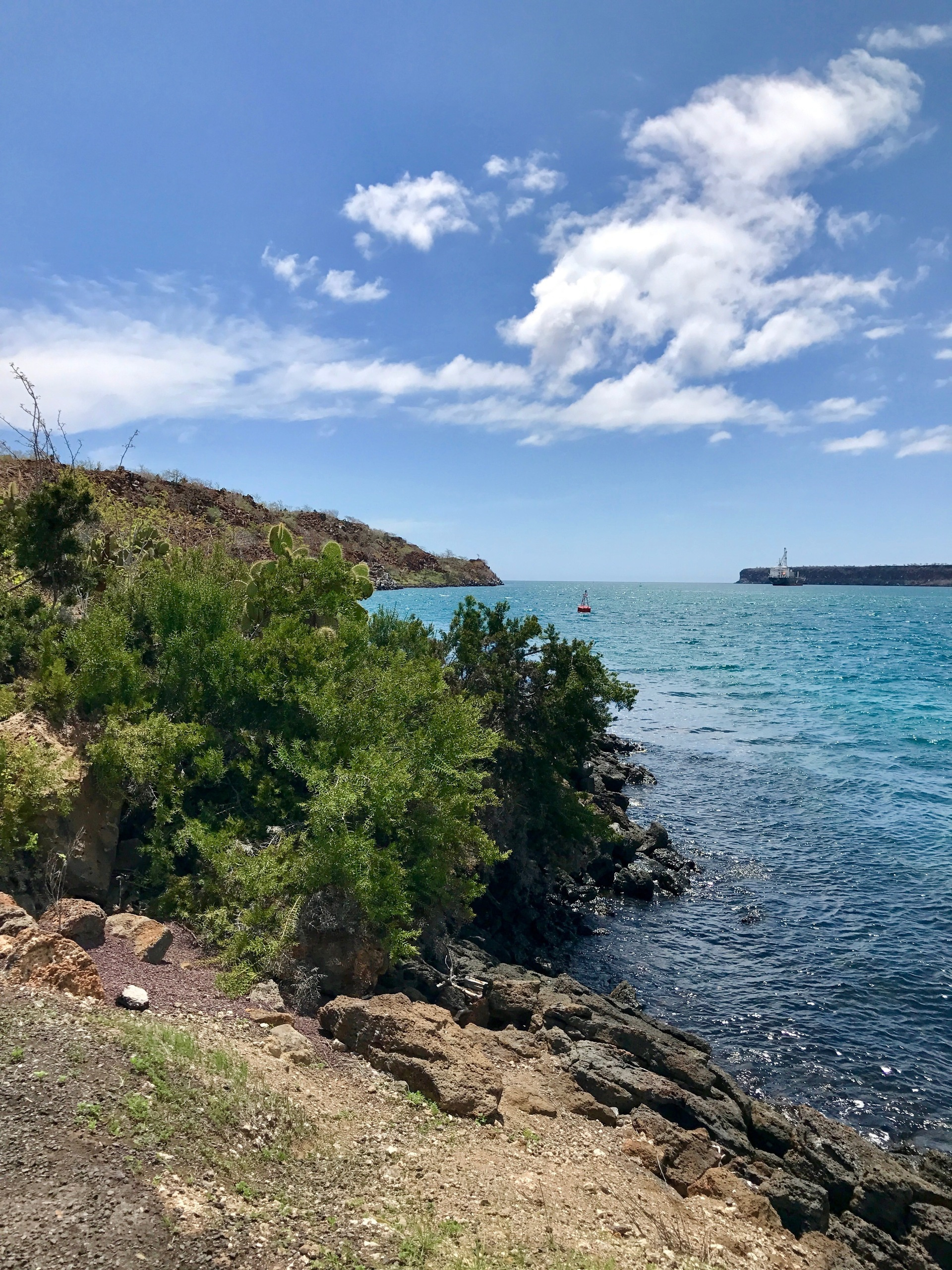 Galapagos. Milok et Kirok sont des gens positifs et réels. Nous serons ravis de v