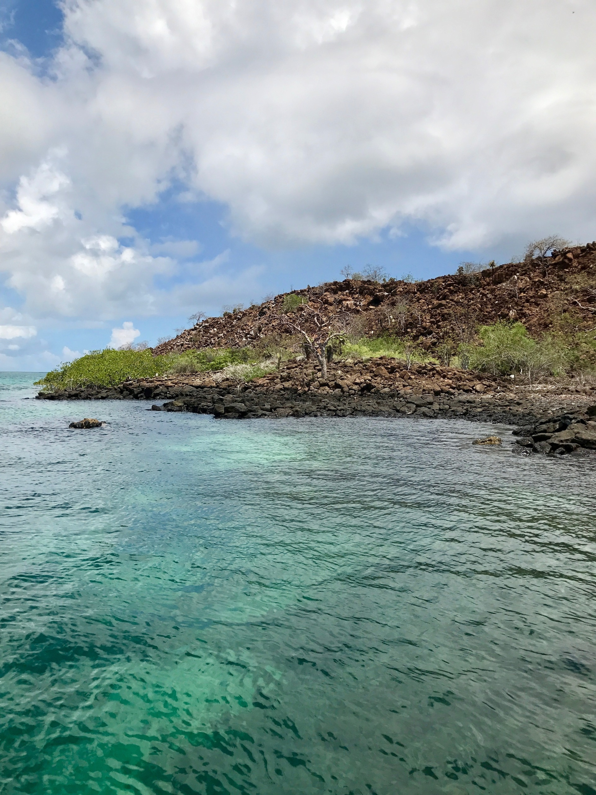 Galapagos. Milok et Kirok sont des gens positifs et réels. Nous serons ravis de v