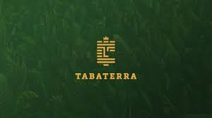 Partners & Clients. Stannum Training & Consulting