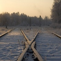 Feedback. Wedding and portrait photographer in Poland Vitali Frozen