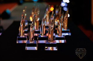 BLUE OCEAN BRILLANCE AWARD. Professional garden design and photography services in London