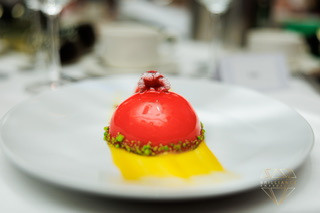 BLUE OCEAN BRILLANCE AWARD. Professional garden design and photography services in London