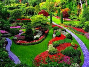 Enhancing Farming Knowledge and Productivity with Organic Fertilizer. Boost Plant Growth with Organic Fertilizers: Our Effective Solution