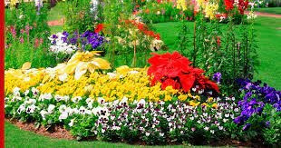 Enhancing Farming Knowledge and Productivity with Organic Fertilizer. Boost Plant Growth with Organic Fertilizers: Our Effective Solution